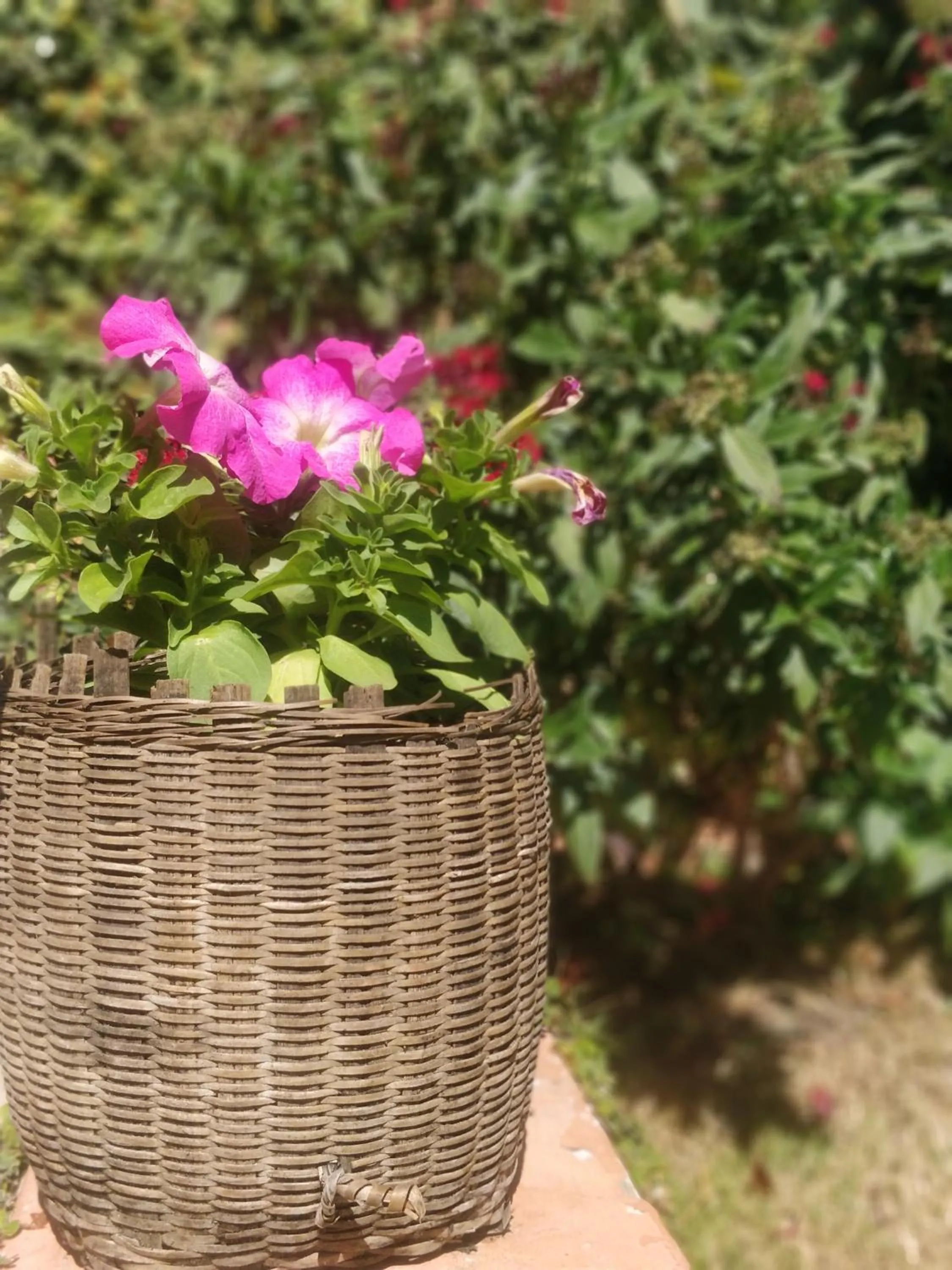 Other in Hillock Villa