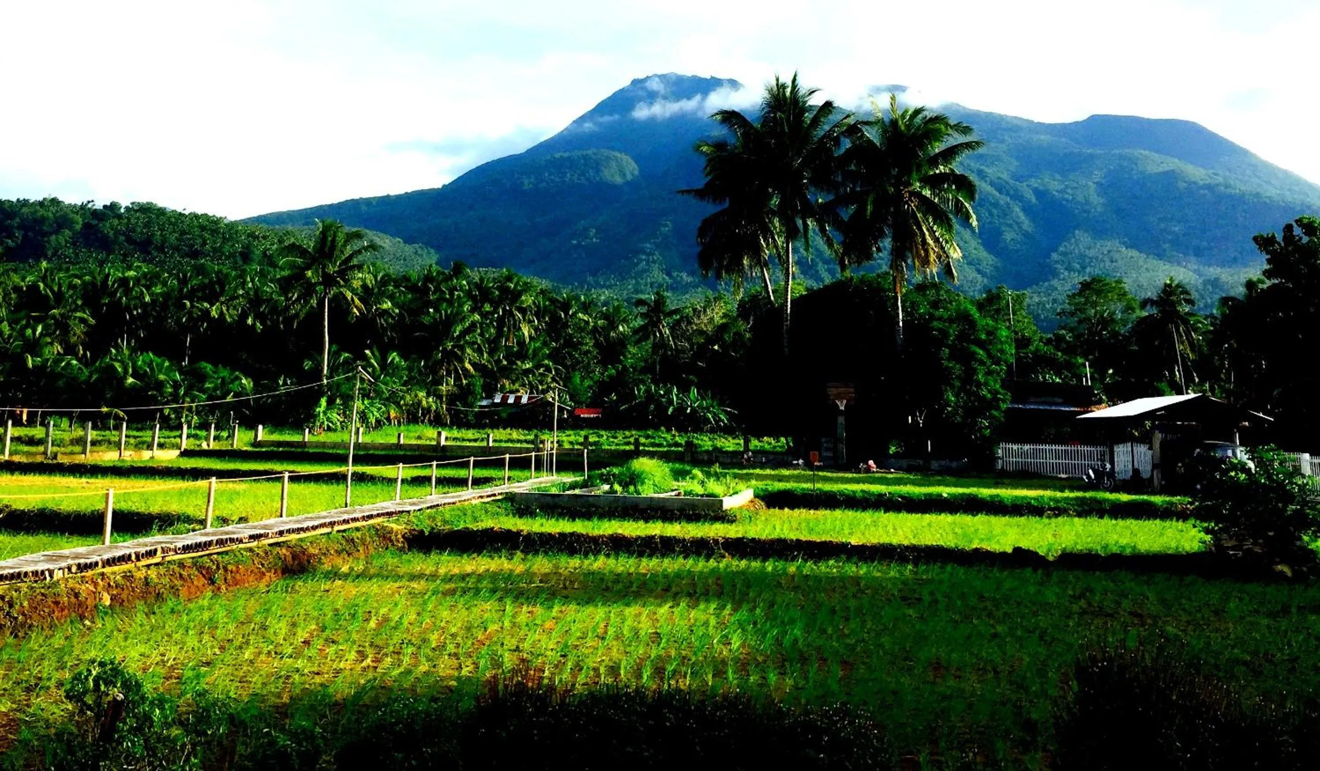 Mountain view in Guerrera Rice Paddy Villas