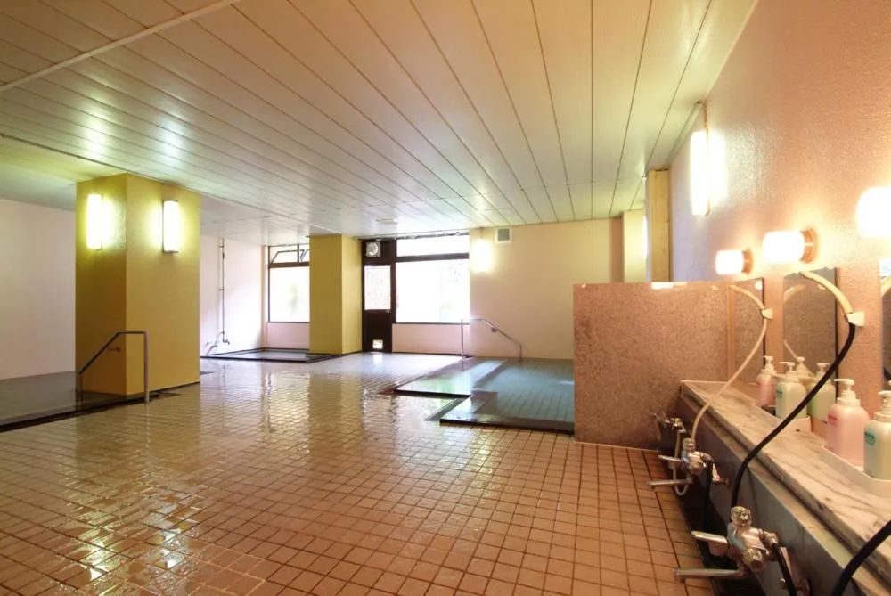 Hot Spring Bath in Hotel Kinomezaka
