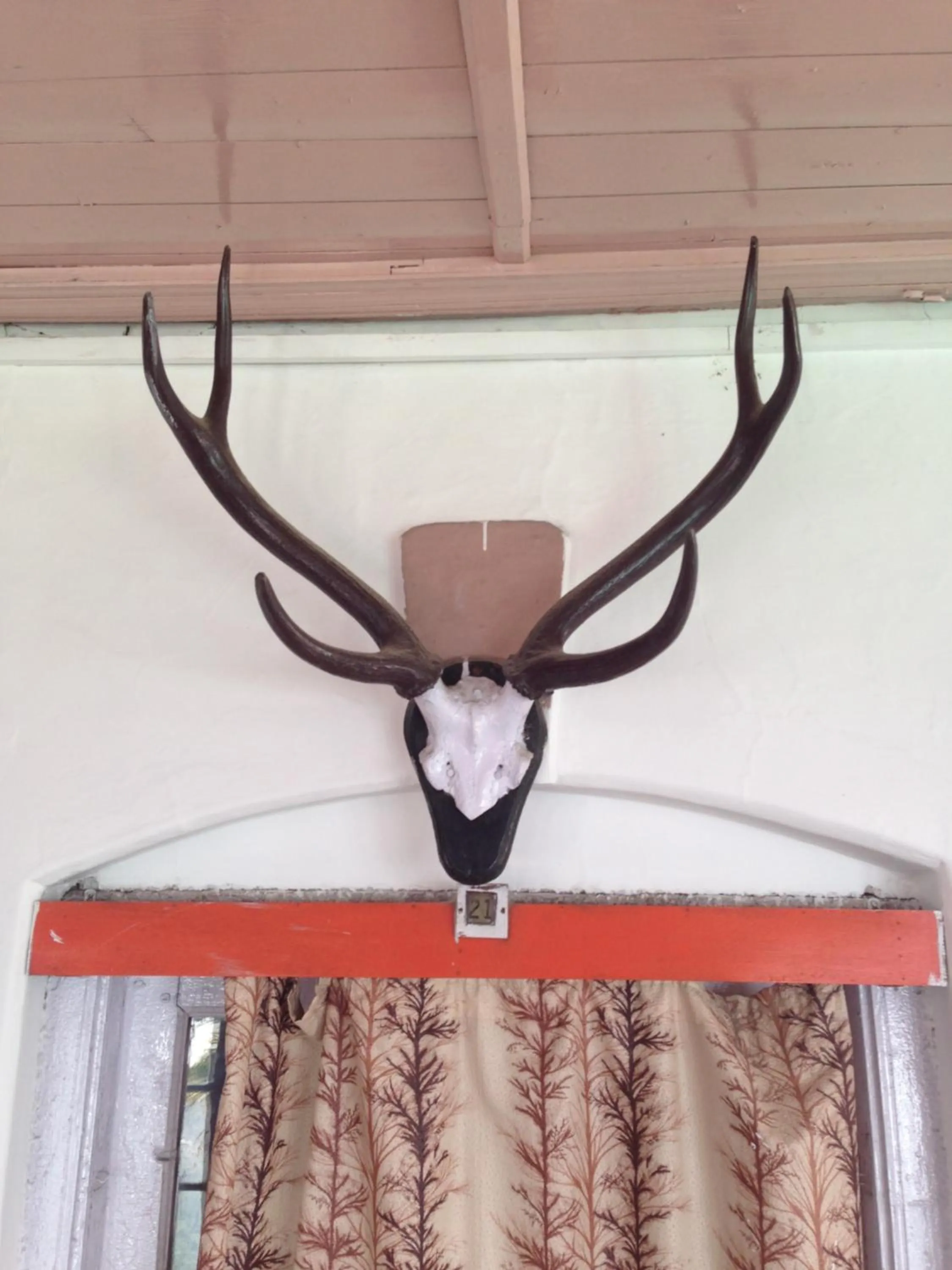 Decorative detail in Prince Hotel Mallroad