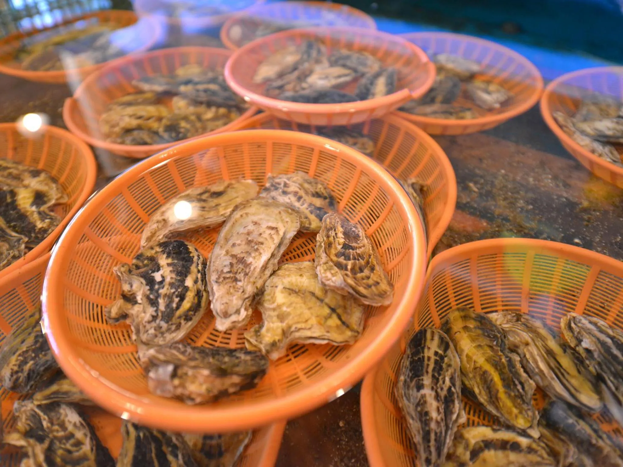 Nearby landmark in Jyokiya