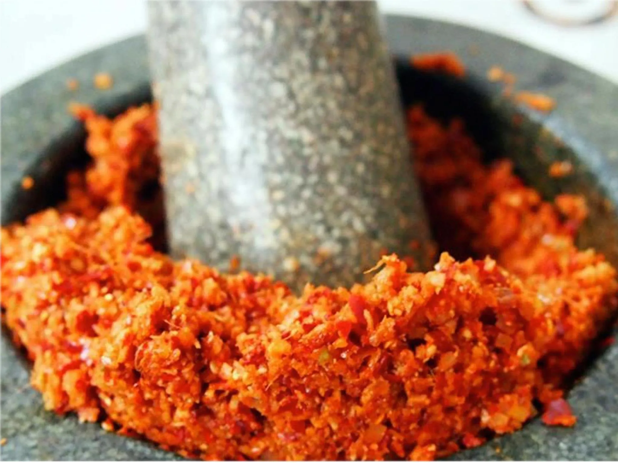 Activities in The Mud - Eco Hotel