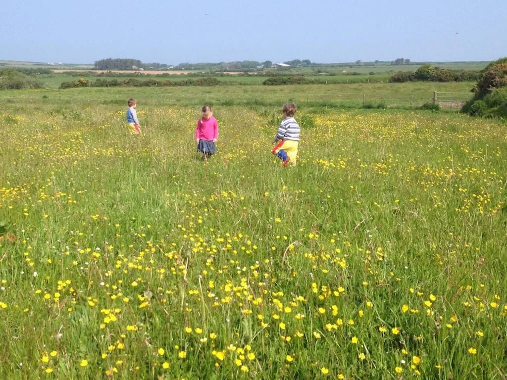 Nearby landmark in Llety Farm