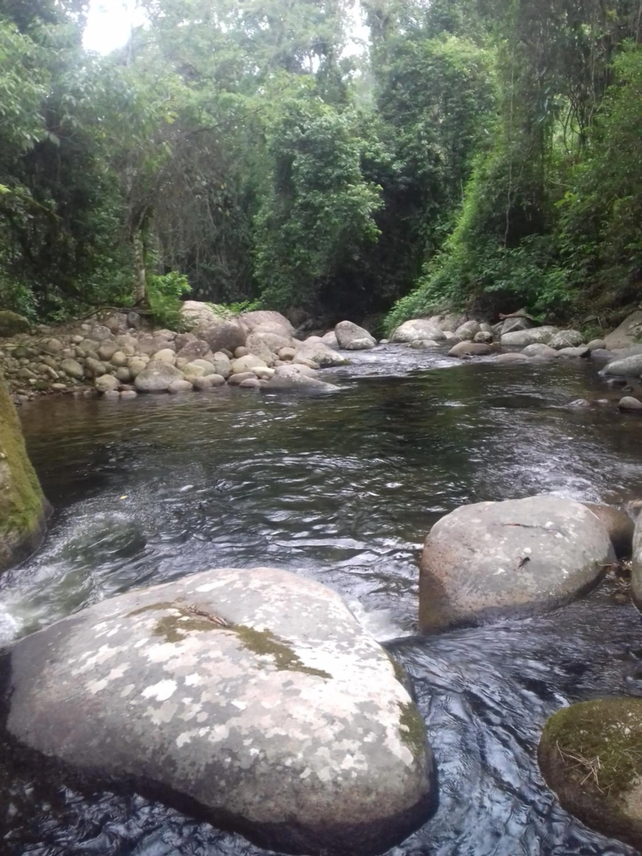 Activities in Vila Noah Pousada