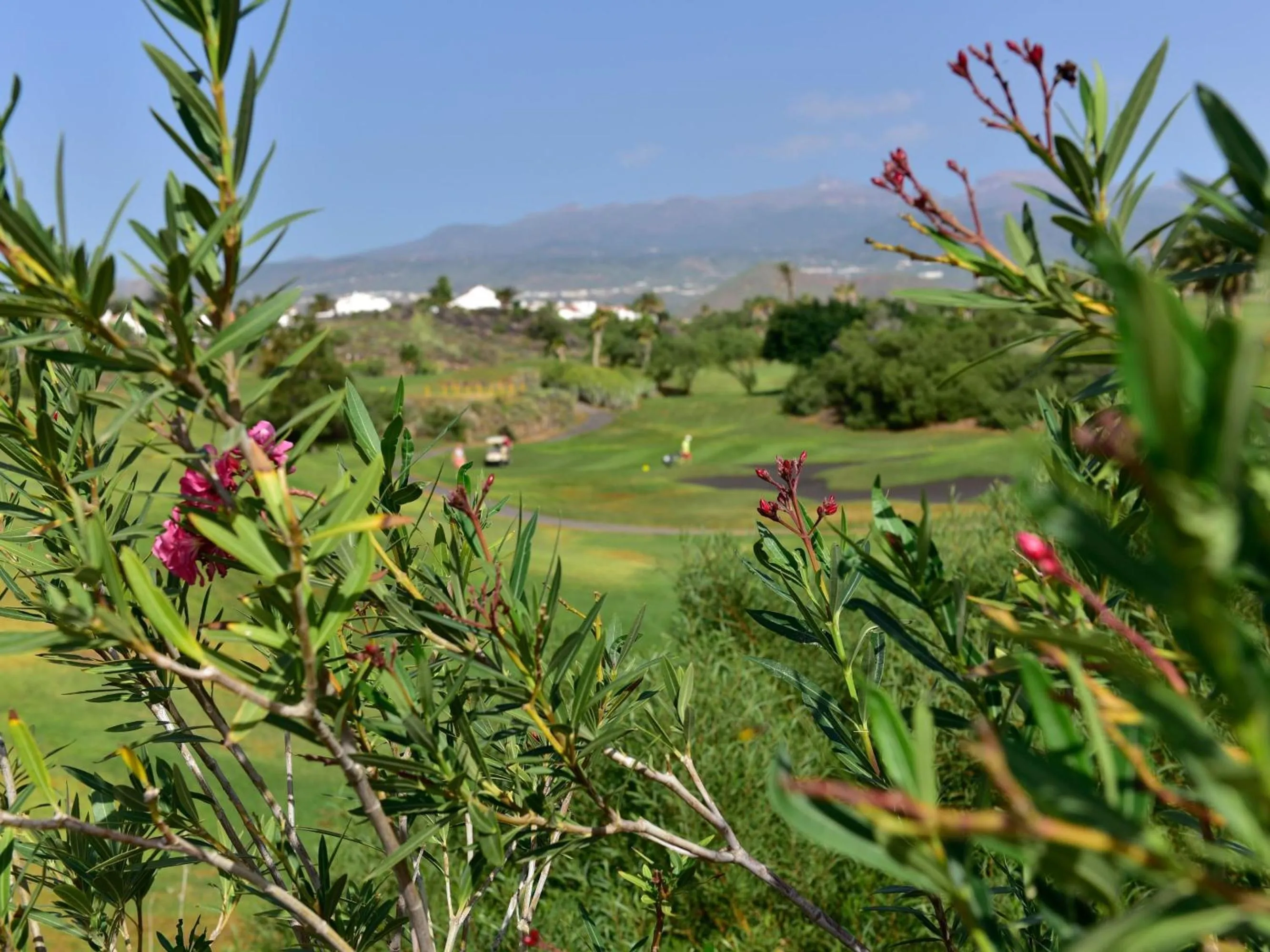 Off site in Apartment Fairways Club