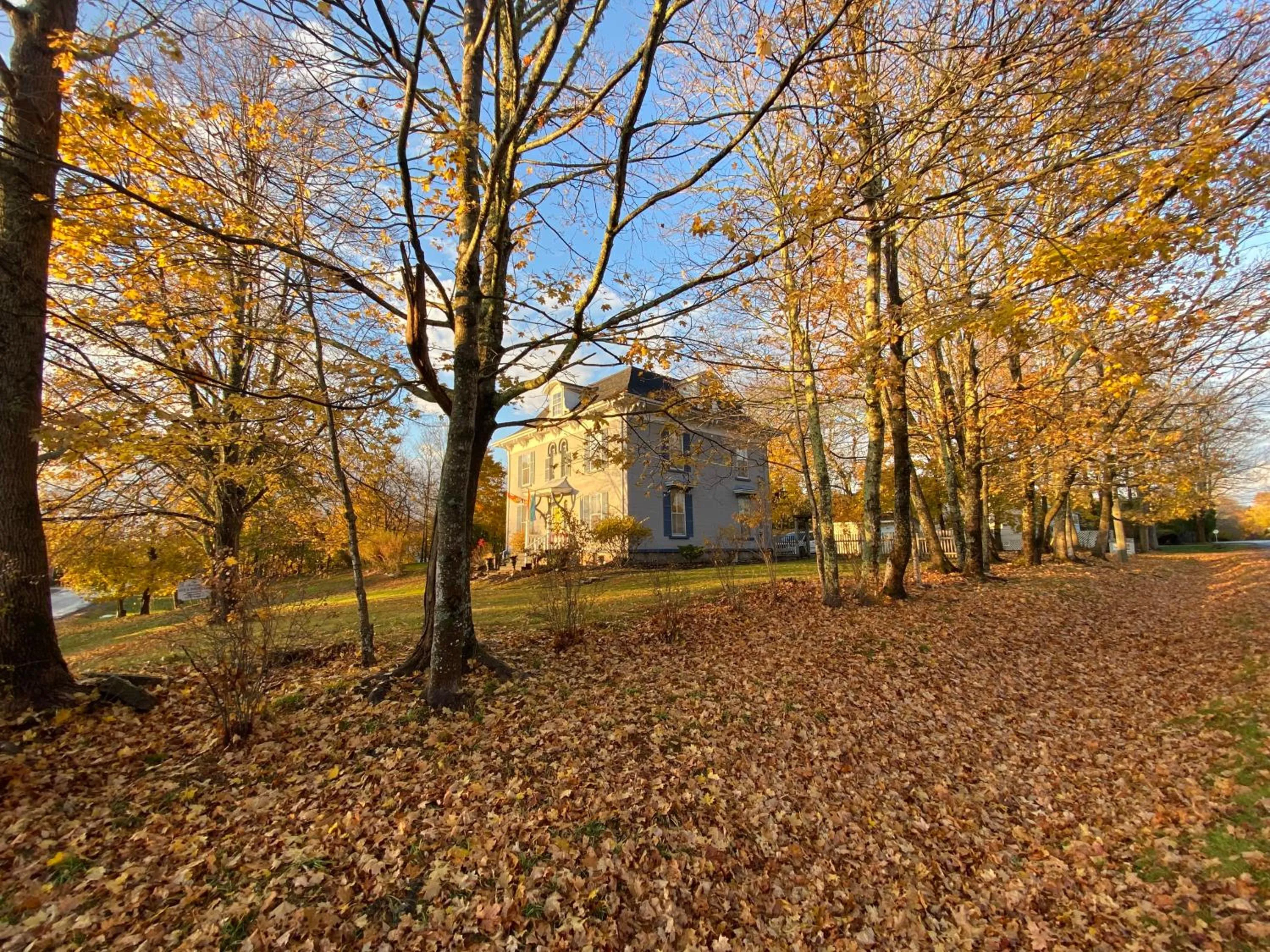 The Montague Rose Inn & Cafe