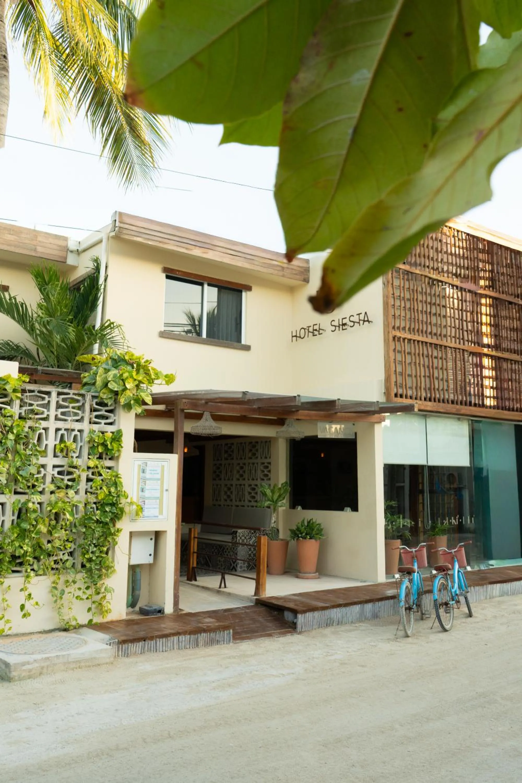Property building in Hotel Siesta Holbox