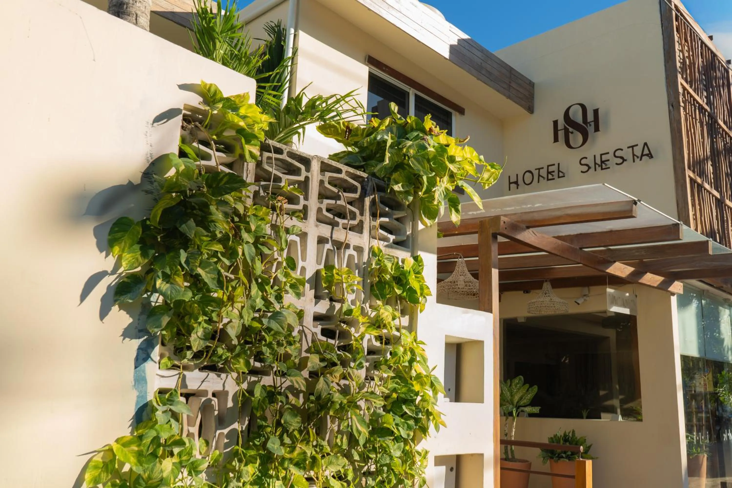 Property building in Hotel Siesta Holbox