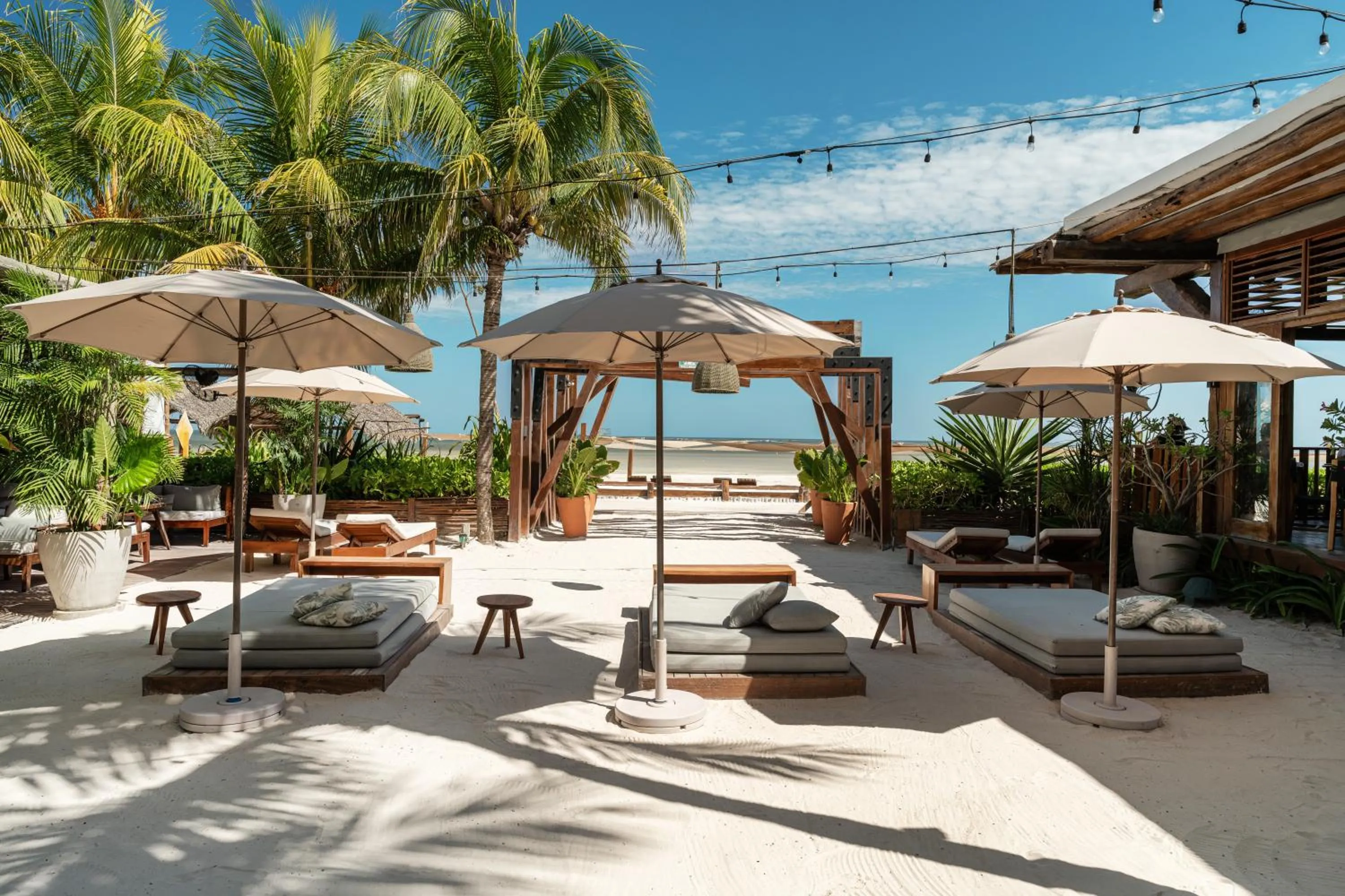 Restaurant/places to eat in Hotel Siesta Holbox