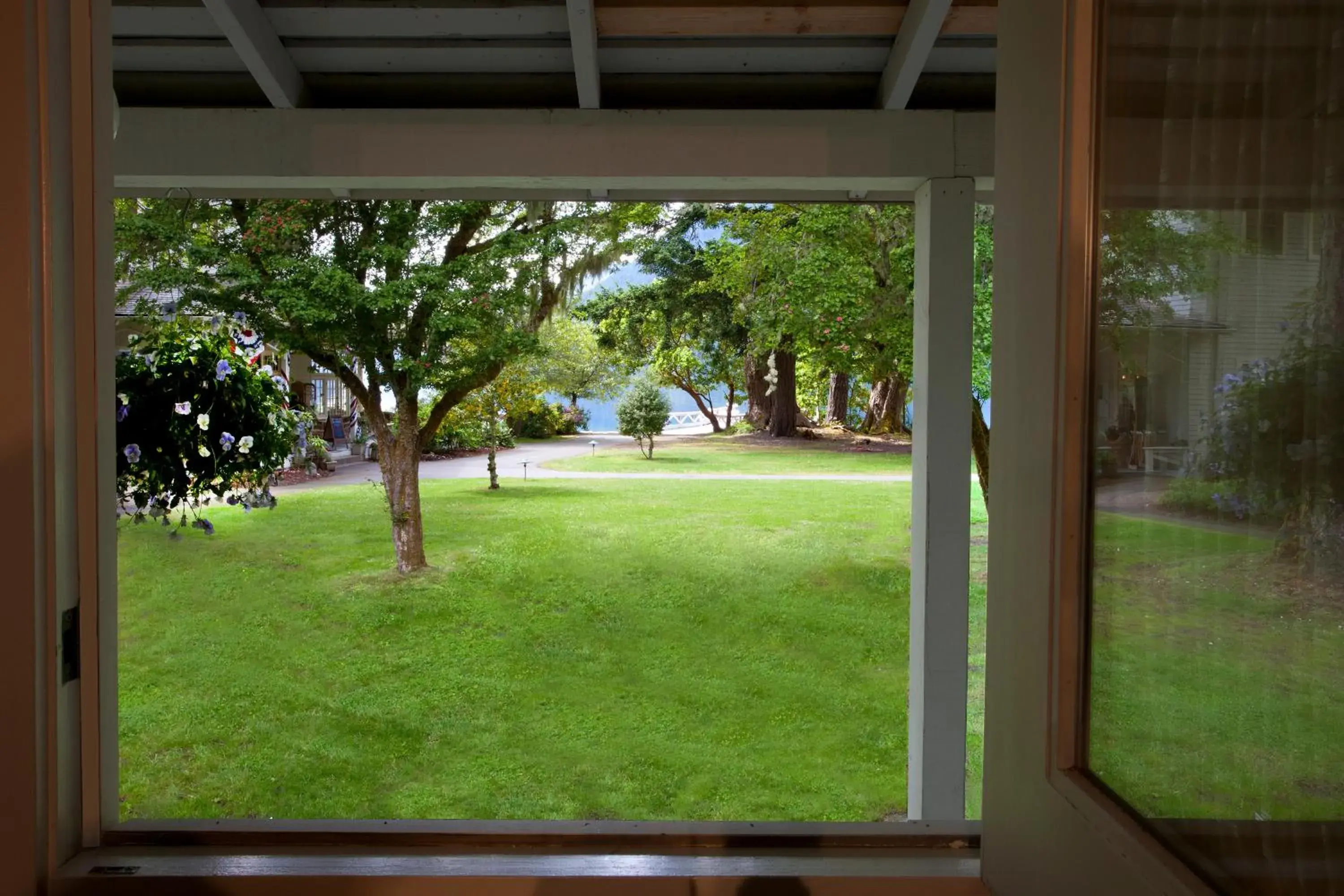Lake view in Lake Crescent Lodge Lake view in Lake Crescent Lodge