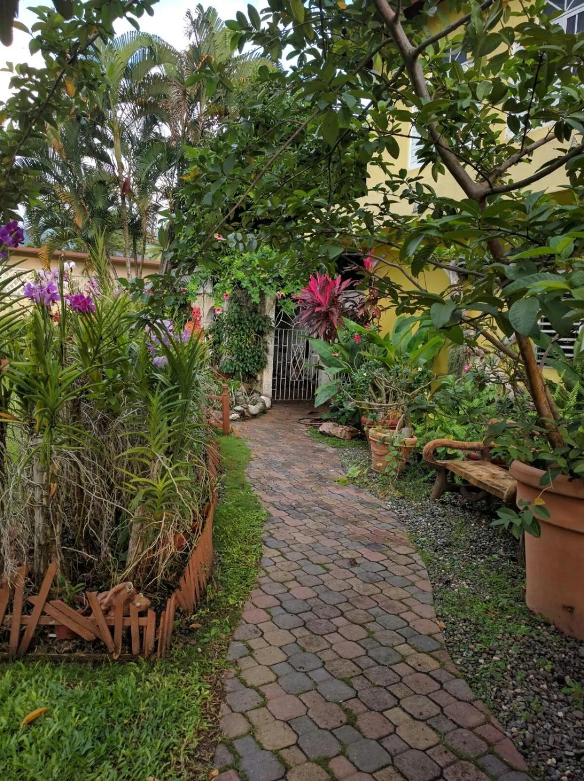 Natural landscape in Orchid Cottage