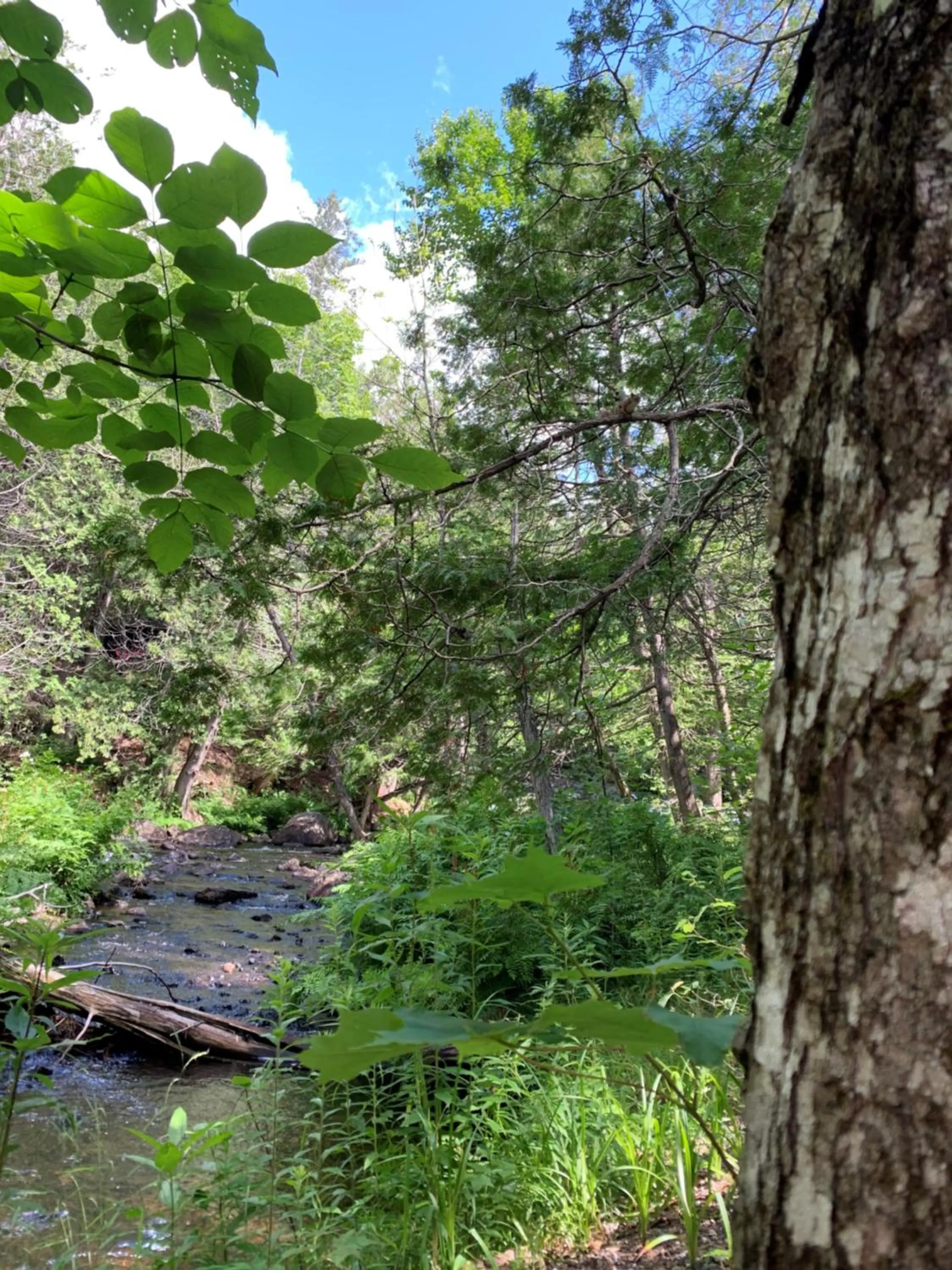 Activities in Auberge Clos-Joli