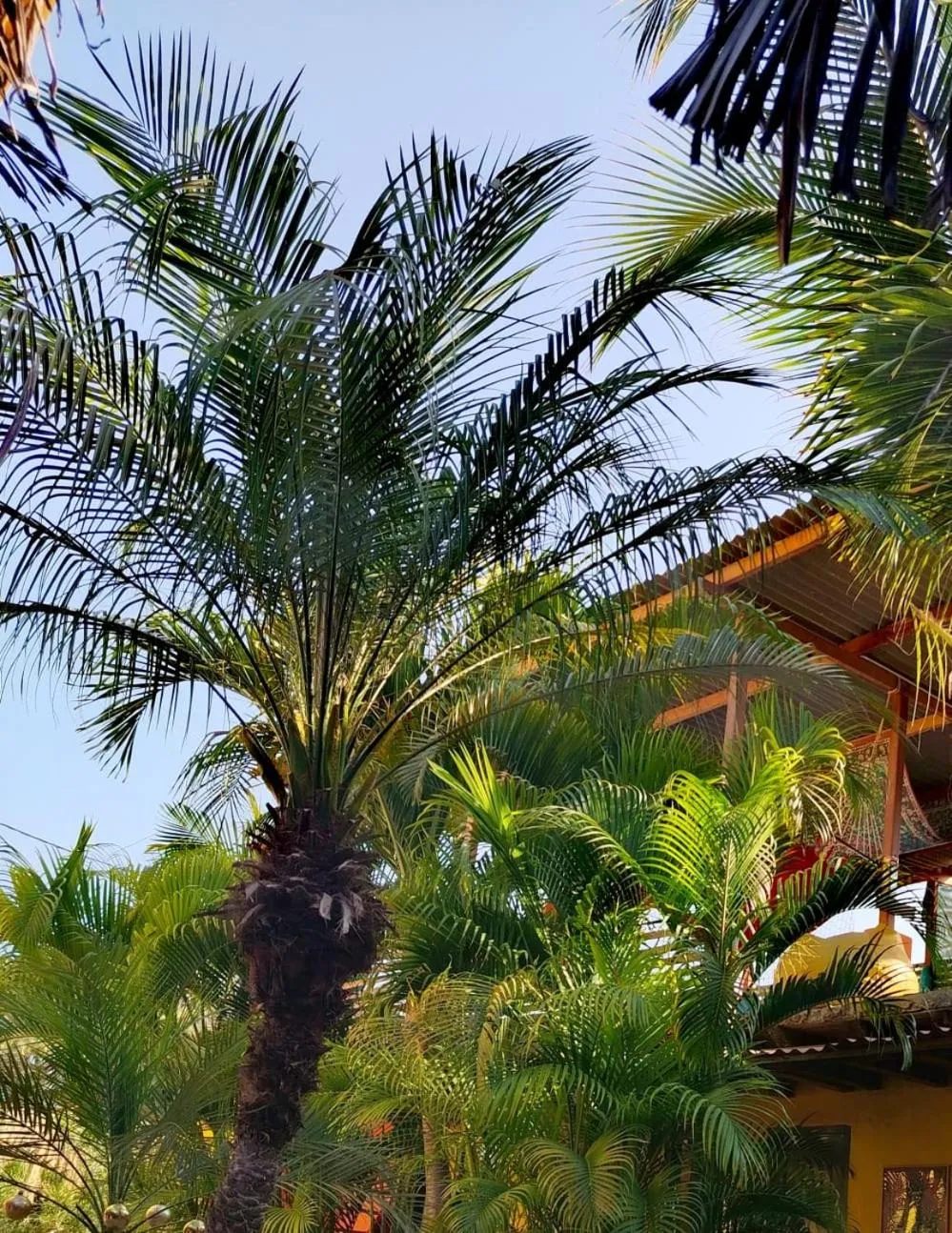 Casa Naranja