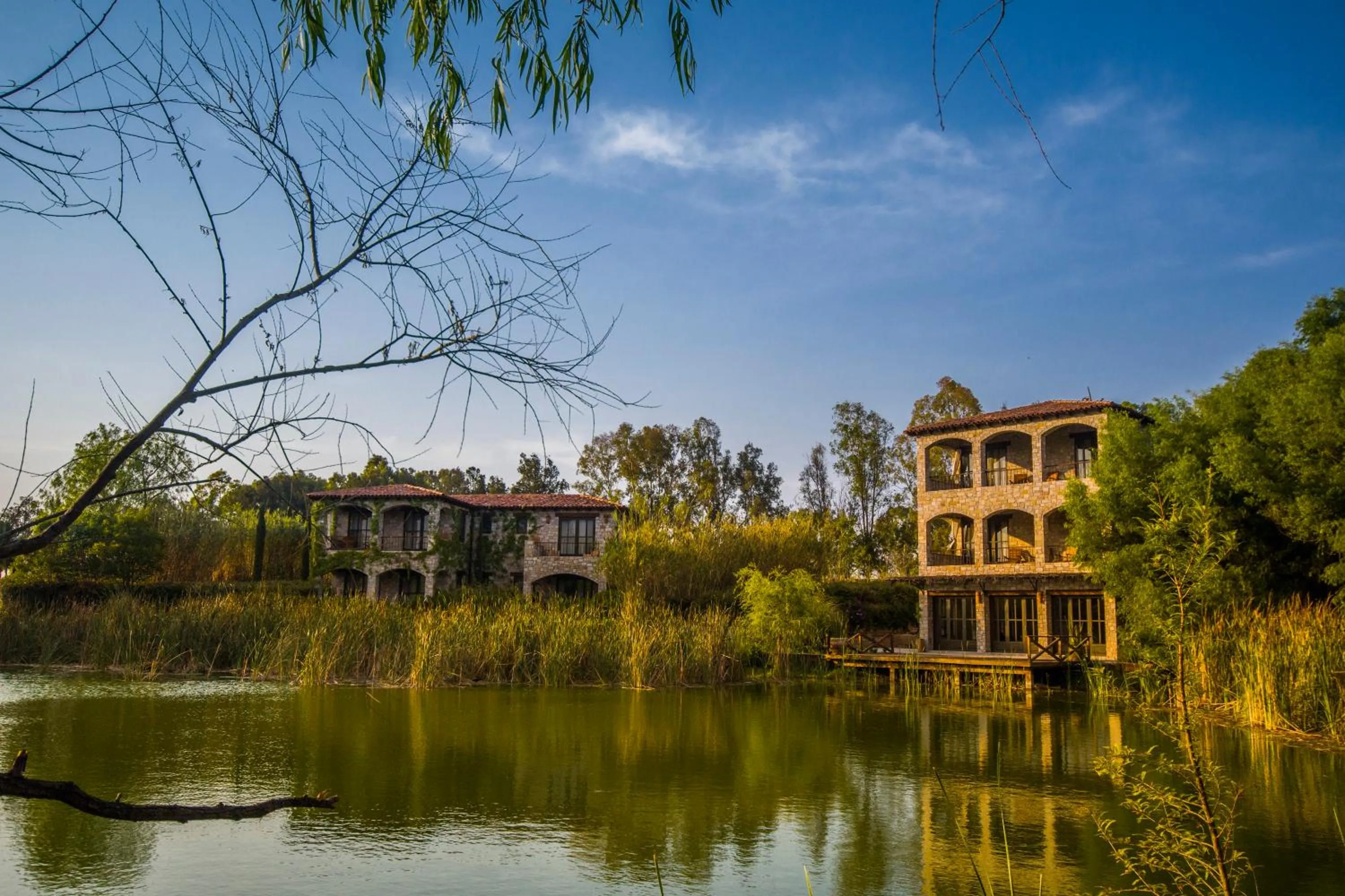 Natural landscape in Viñedos San Lucas