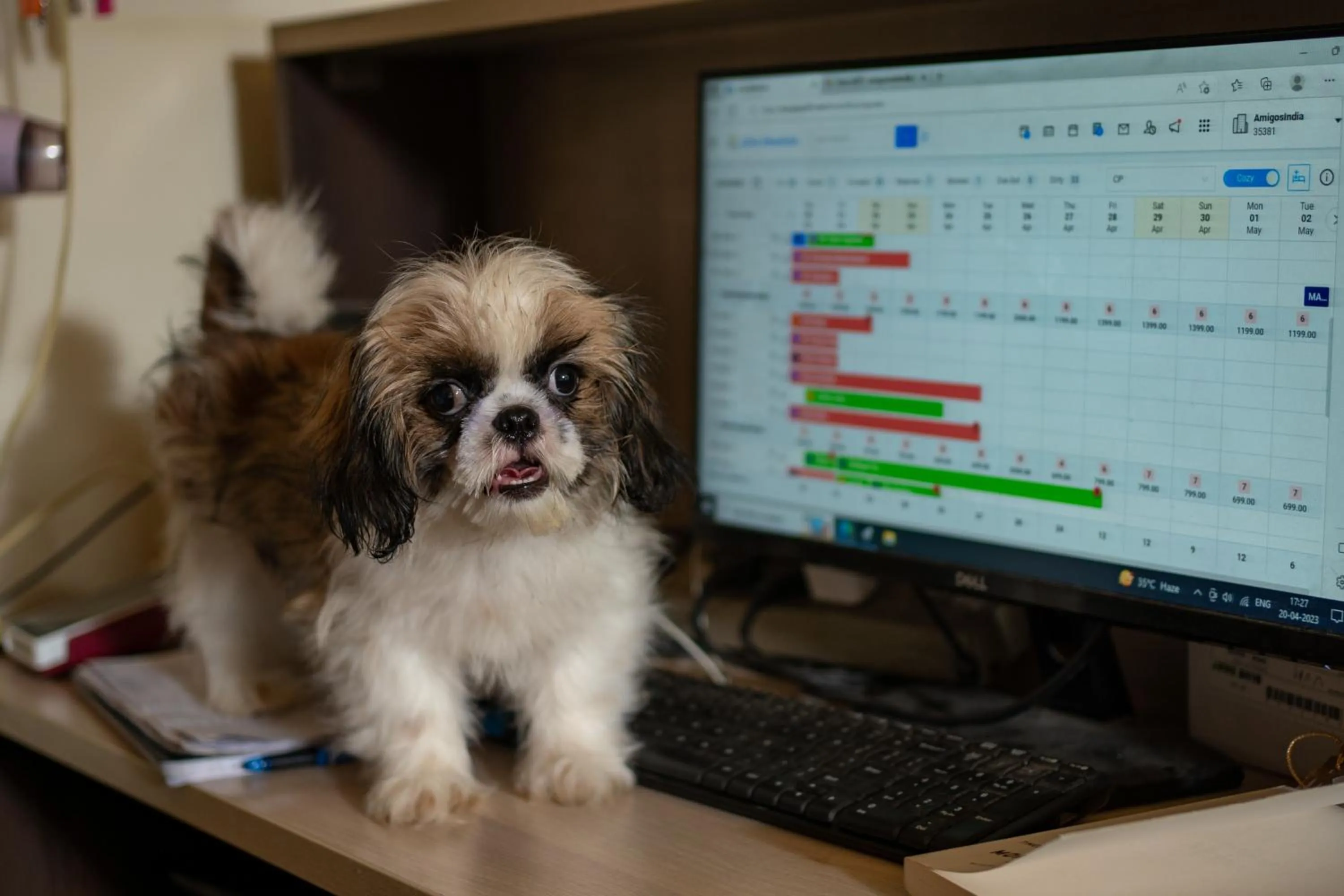 Lobby or reception in AmigosIndia