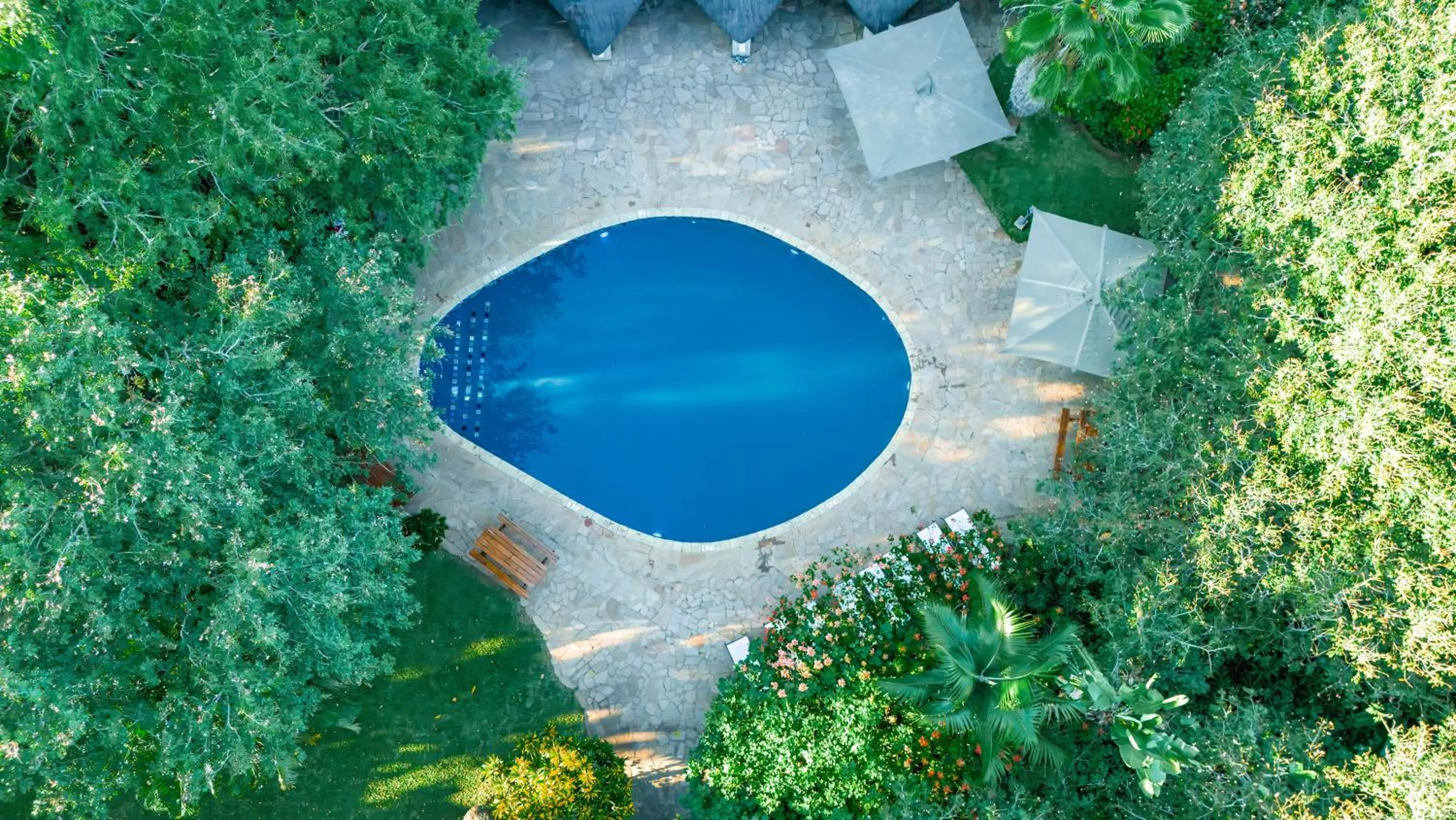 Bird's eye view in Bayete Guest Lodge