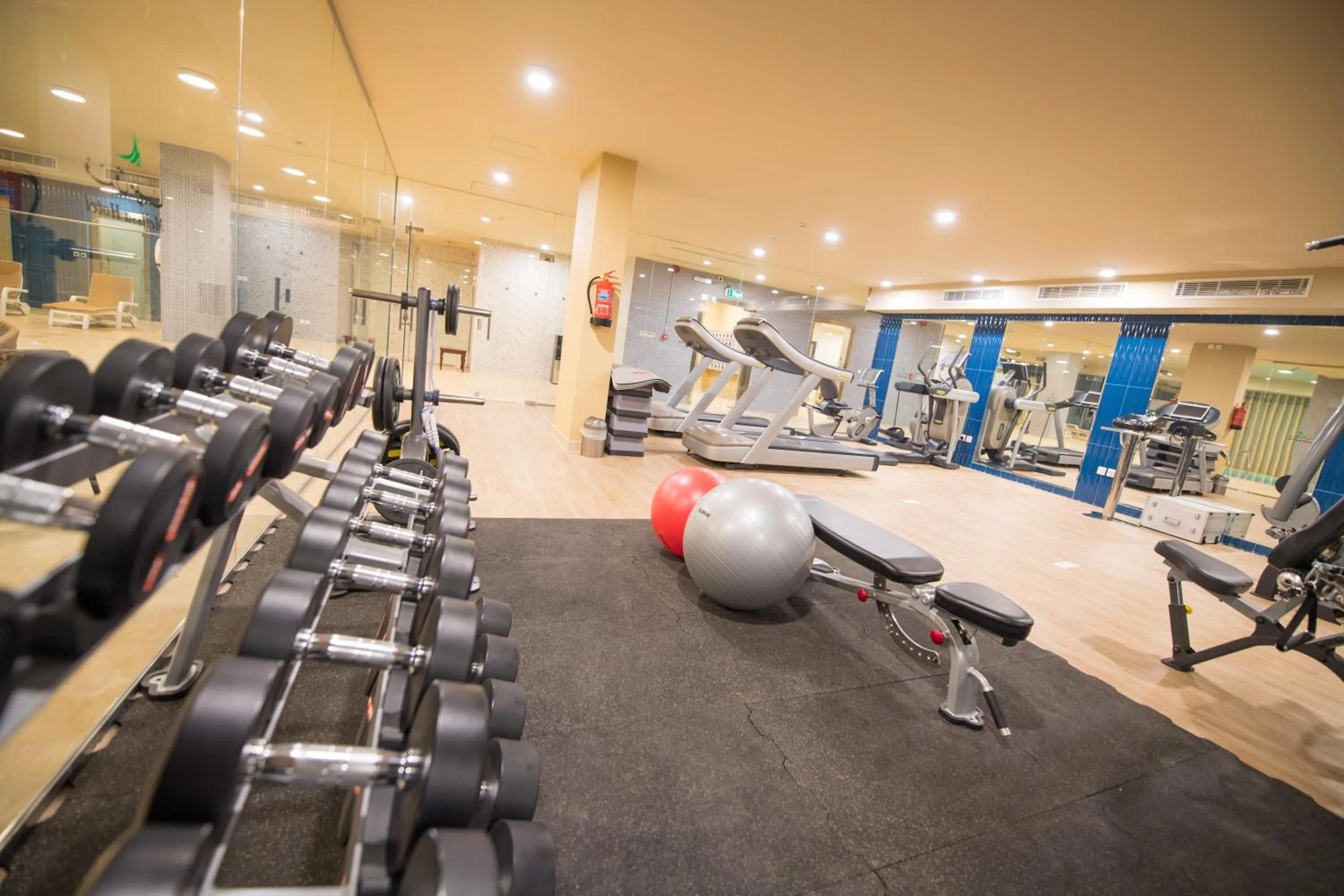 Fitness centre/facilities in Melissa Hotel Riyadh