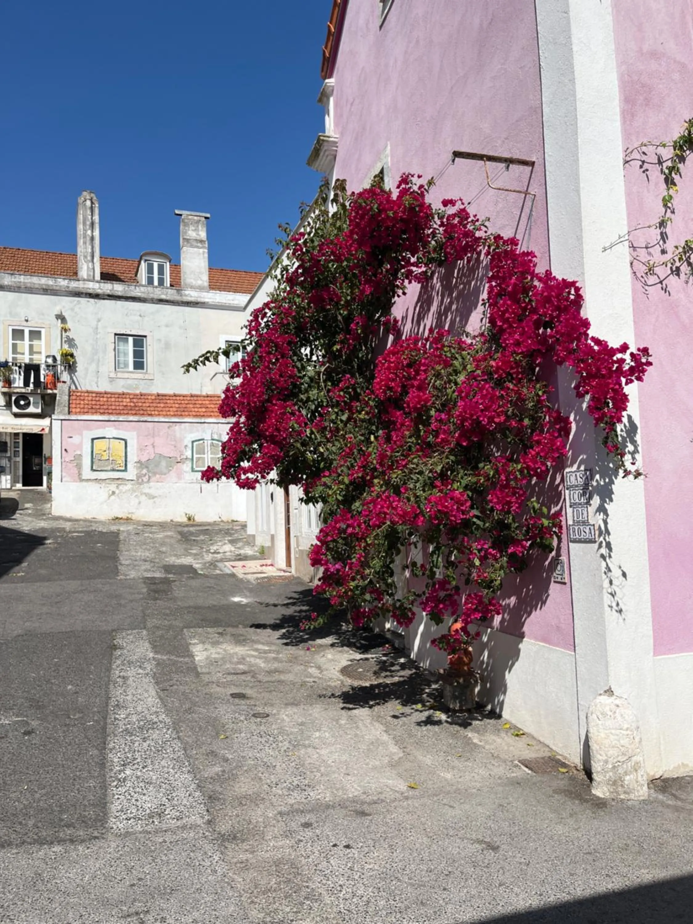Casa Cor de Rosa