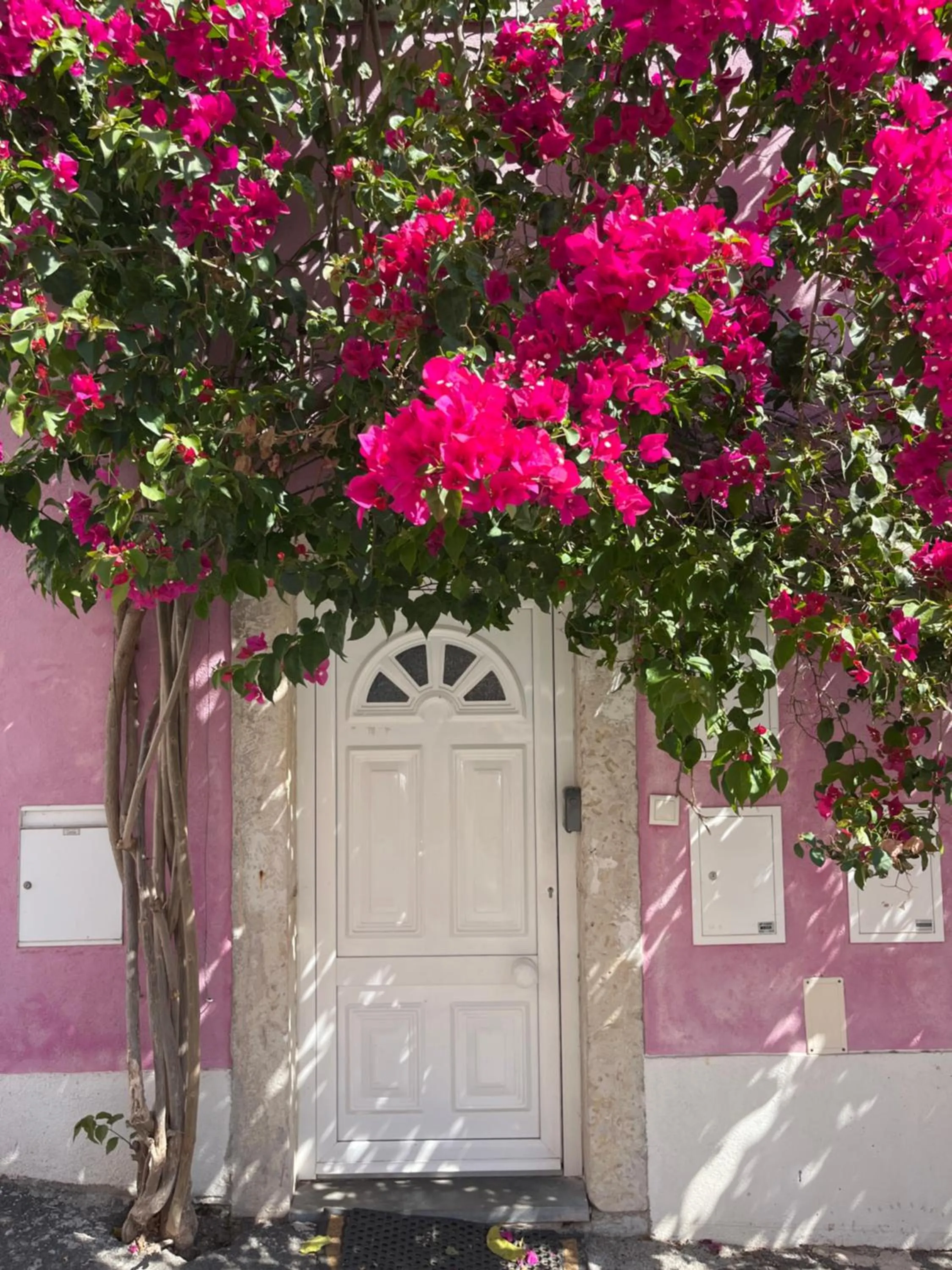 Apartment - Ground Floor in Casa Cor de Rosa