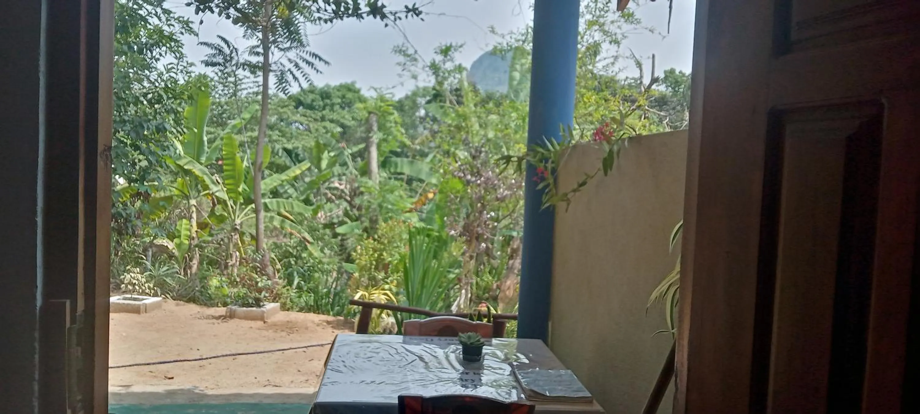 The Horizon Root Inn