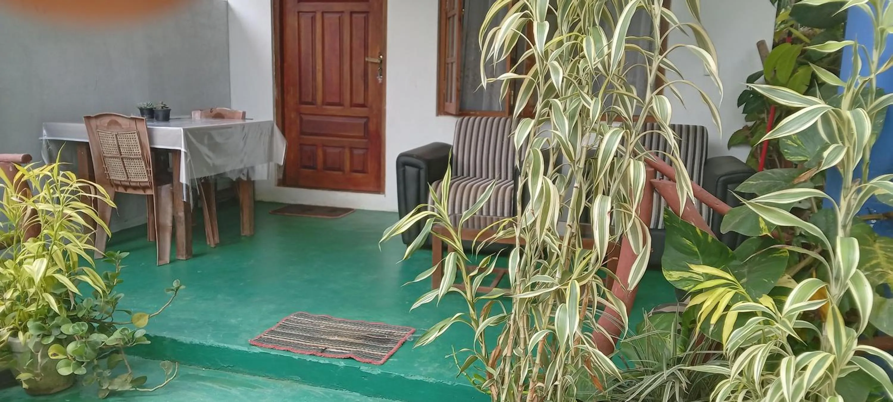 The Horizon Root Inn