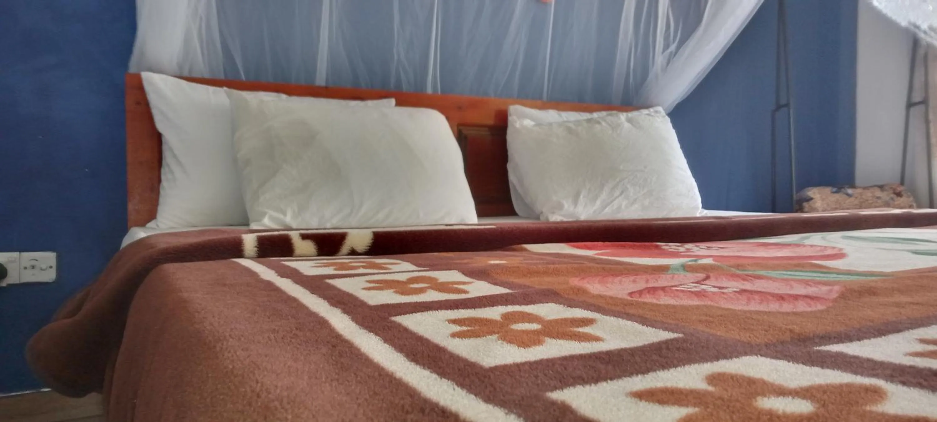 Bed in The Horizon Root Inn