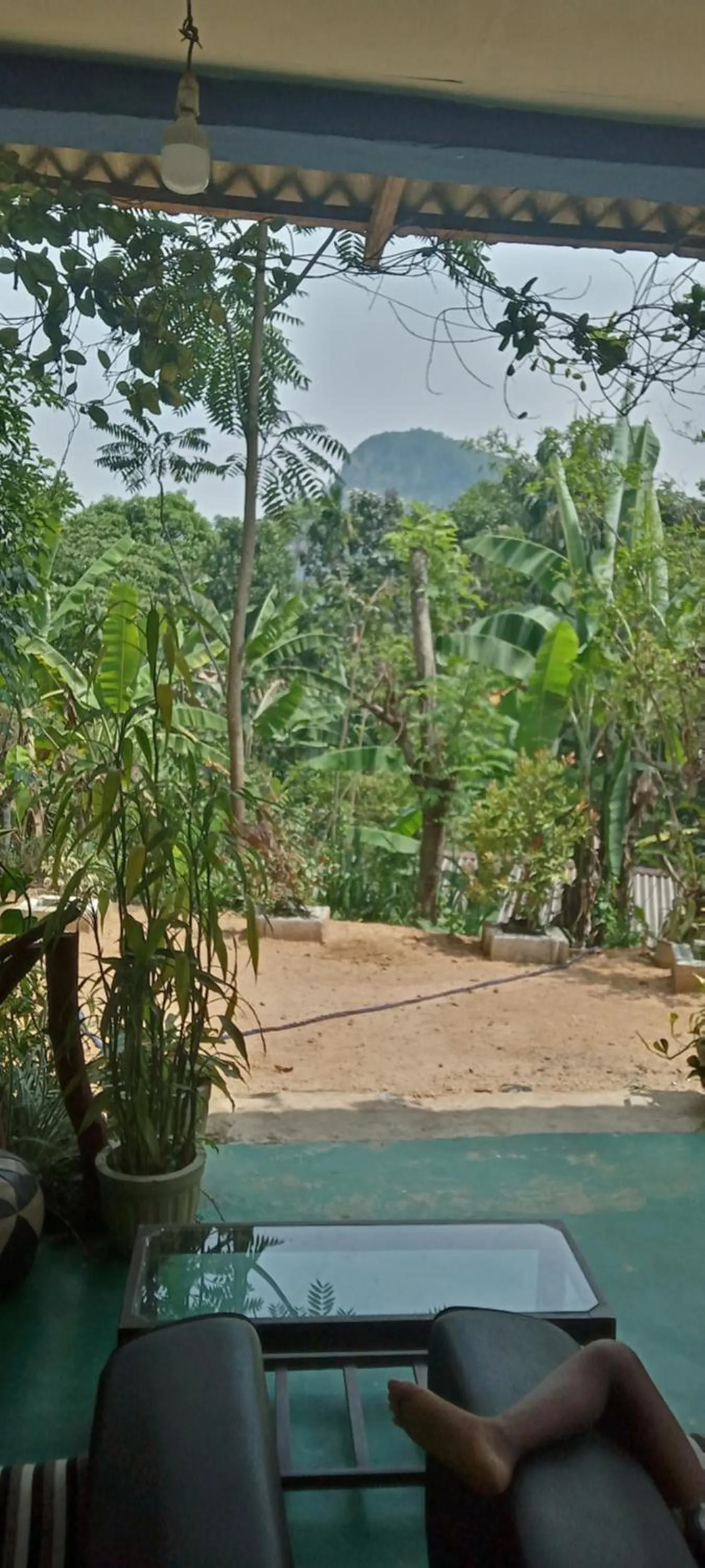 The Horizon Root Inn