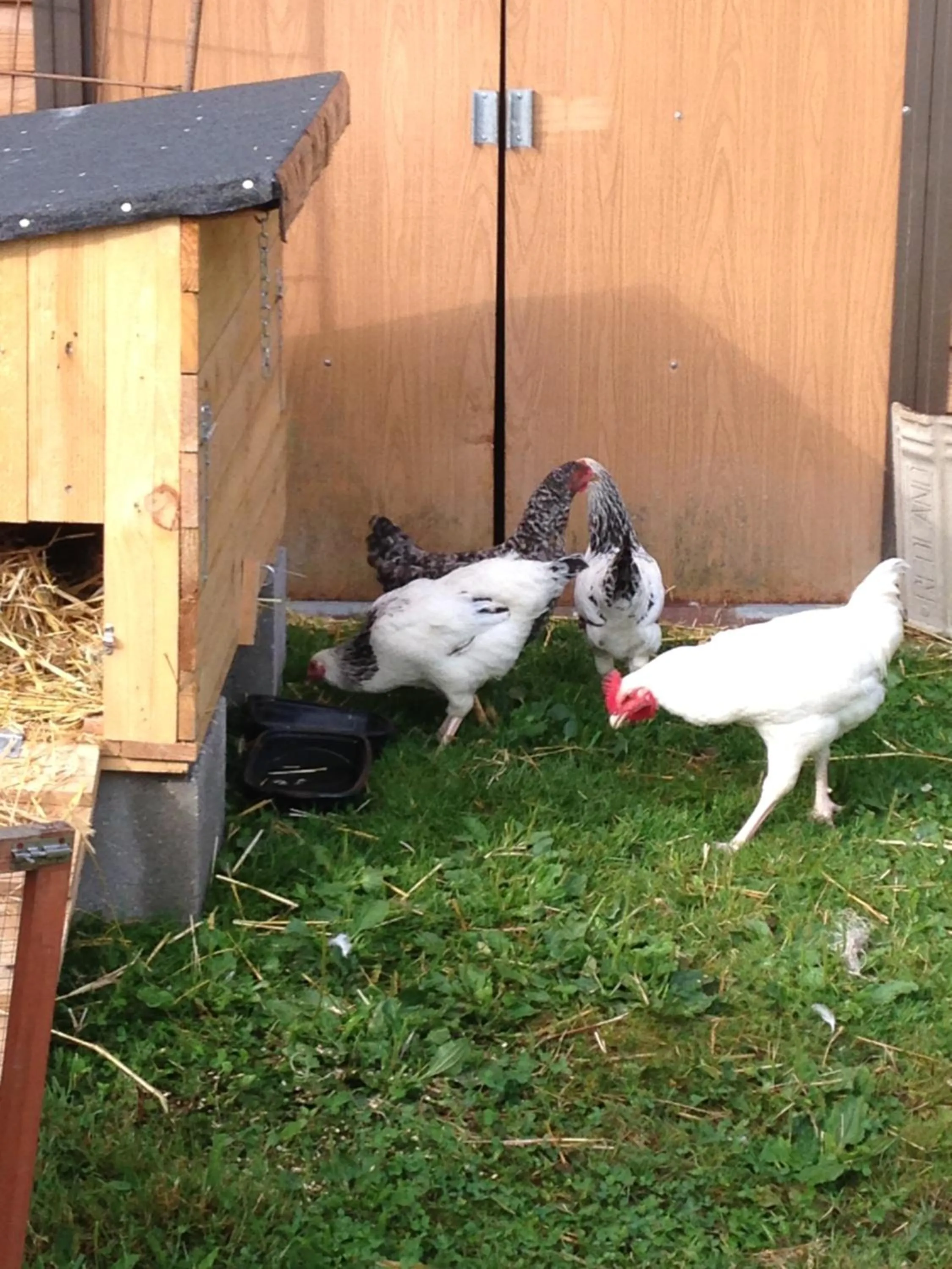 Animals in Relais des Chaux