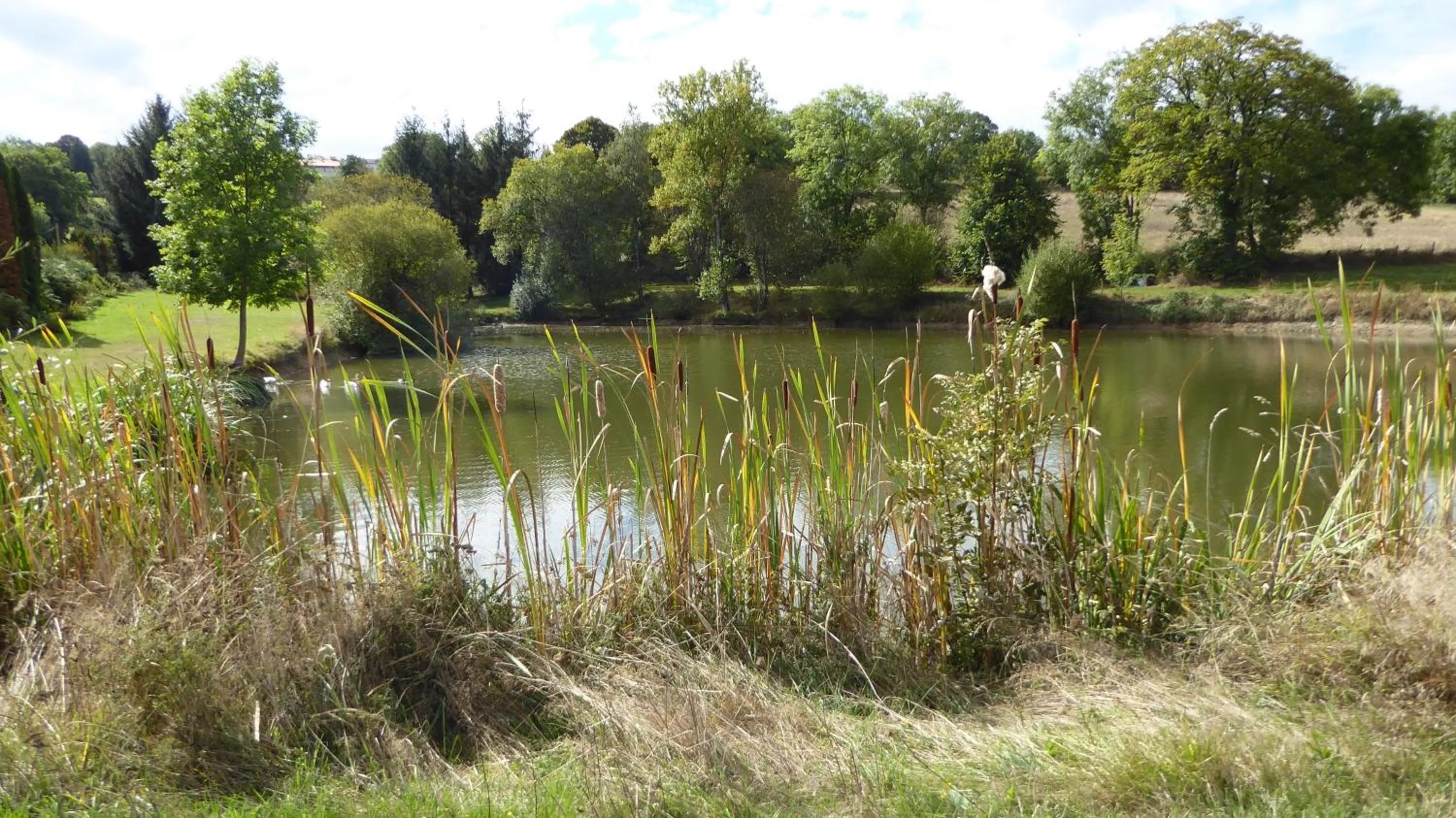Fishing in Relais des Chaux