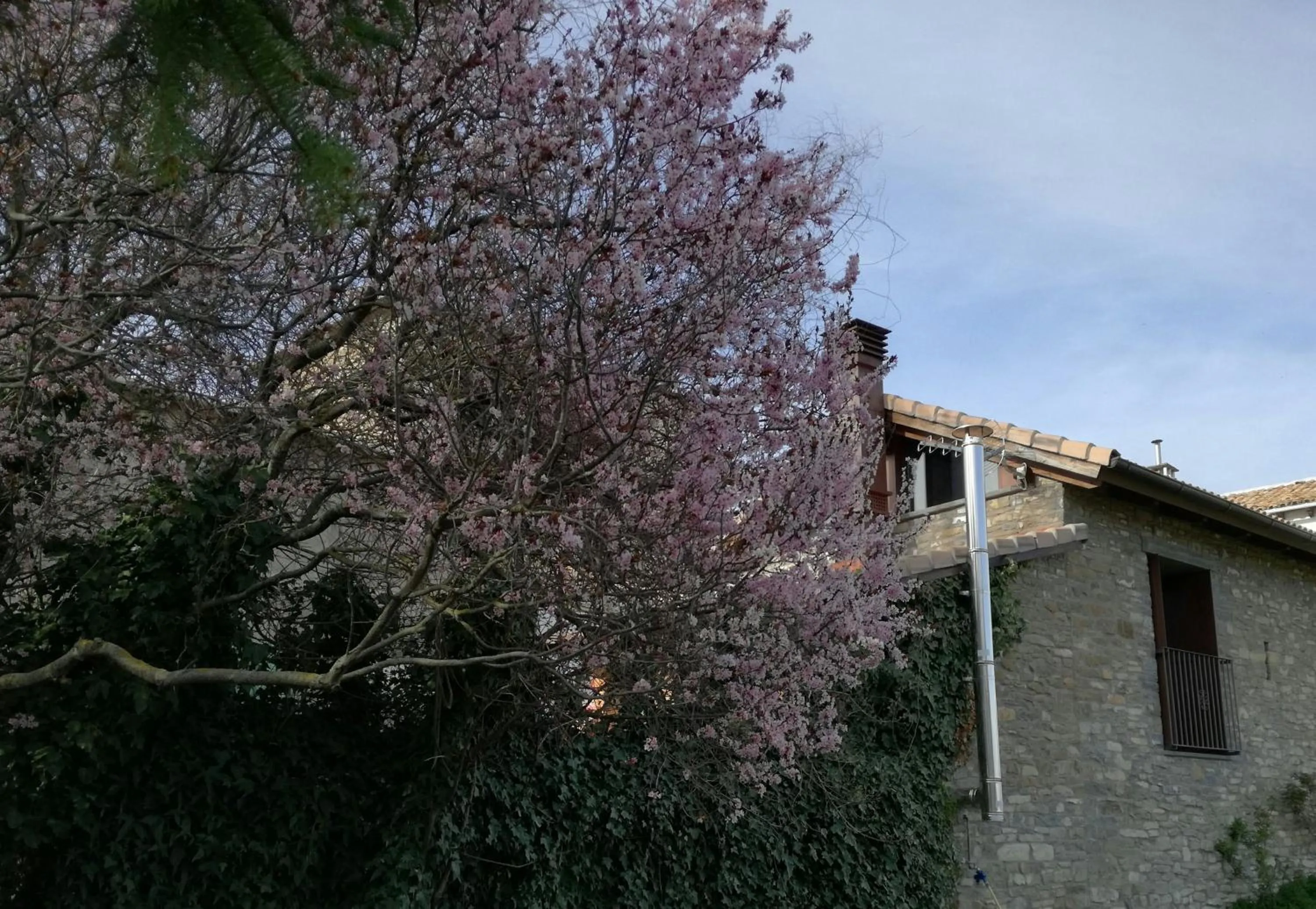 Property building in O Zierzo