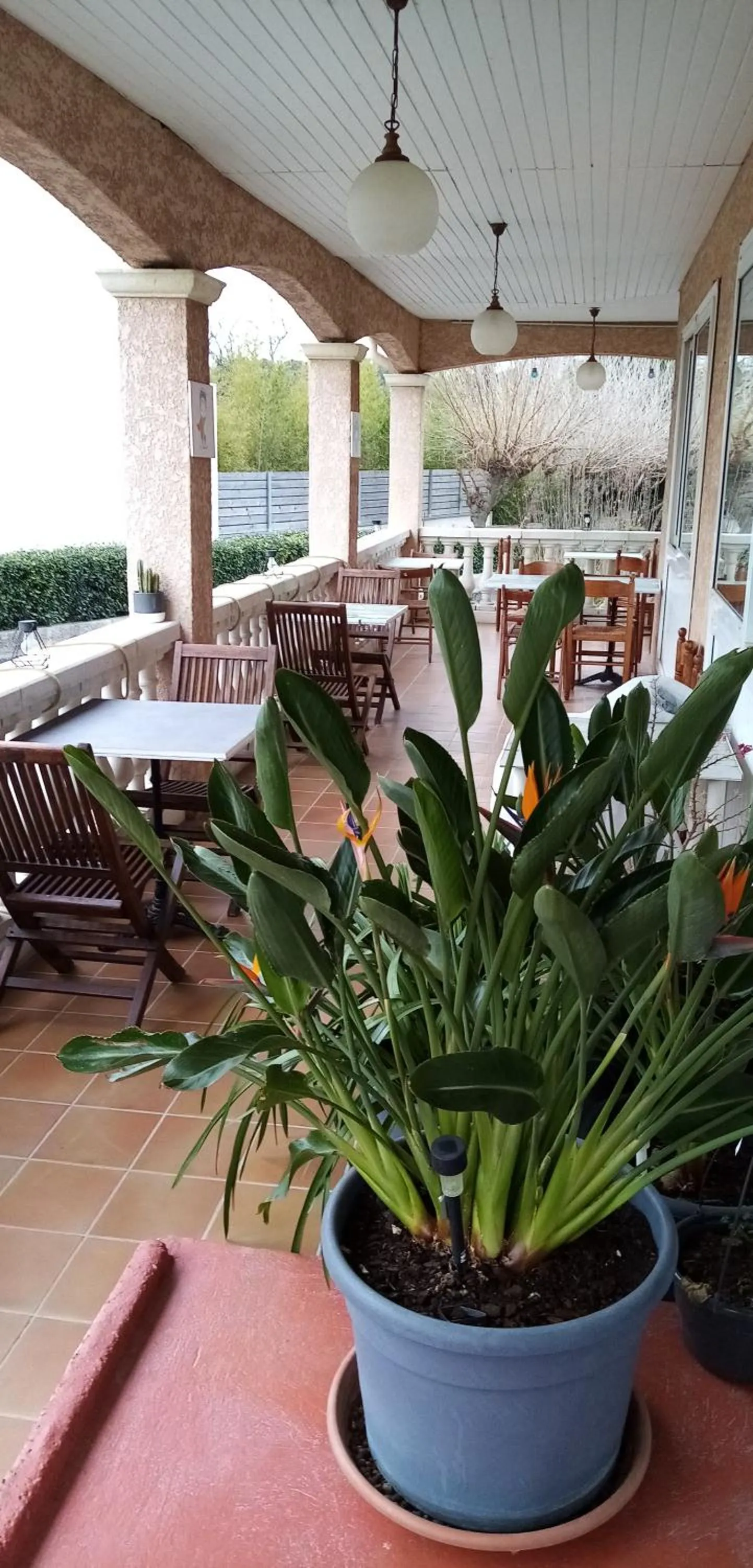 Balcony/Terrace in Le Grand Jardin