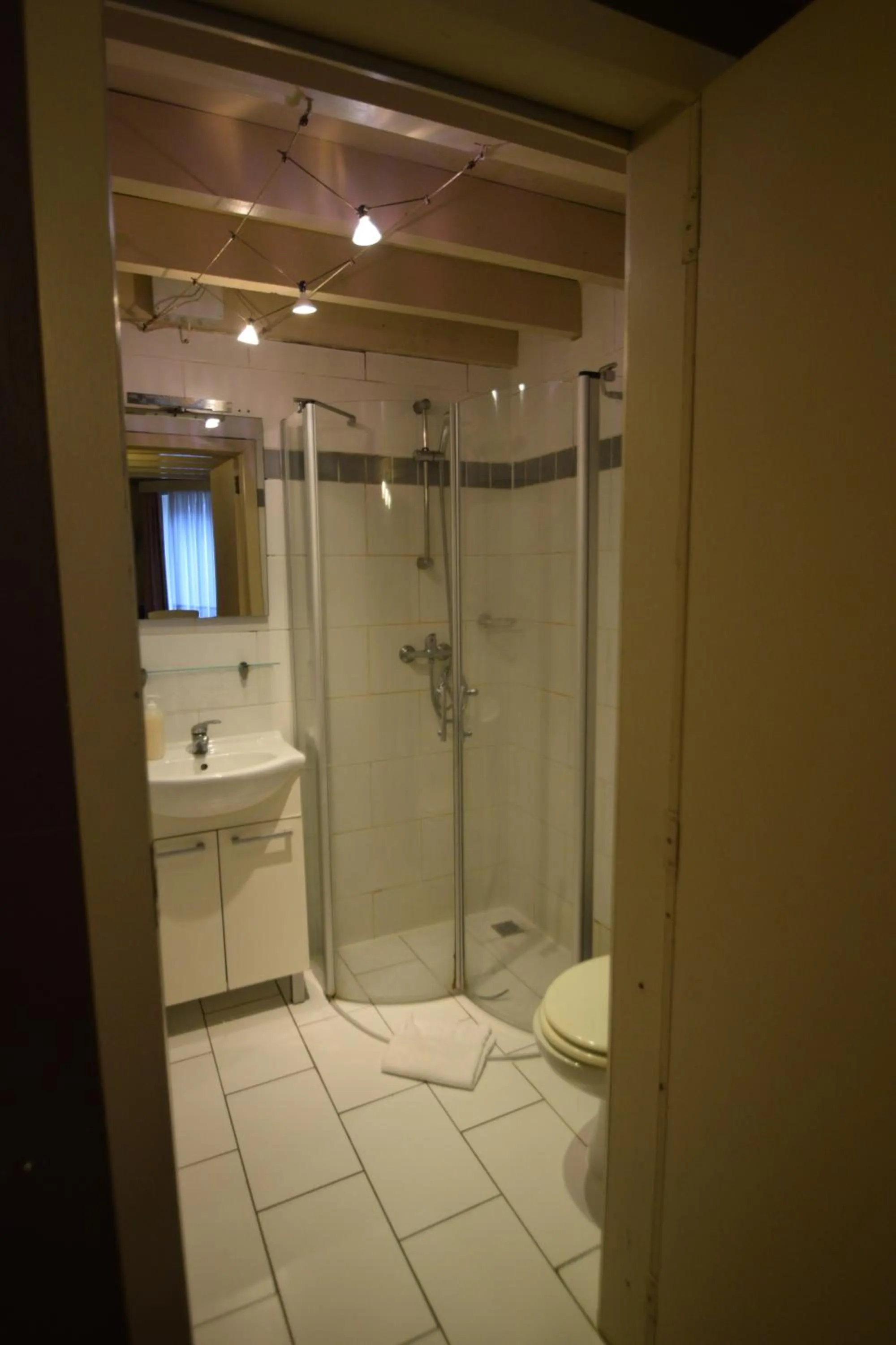 Shower in Condo Gardens Leuven