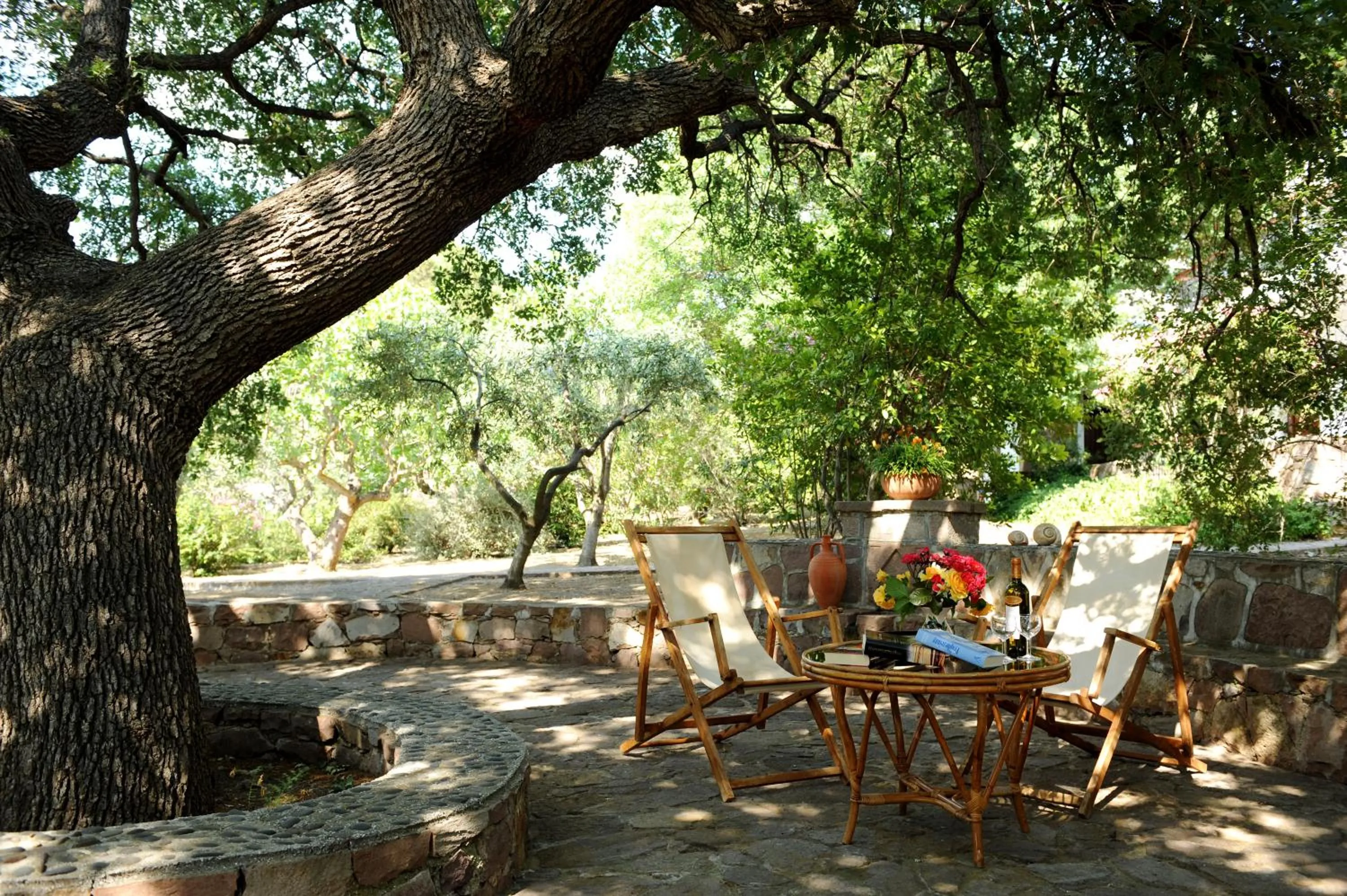 Natural landscape in Delfinia Hotel & Bungalows