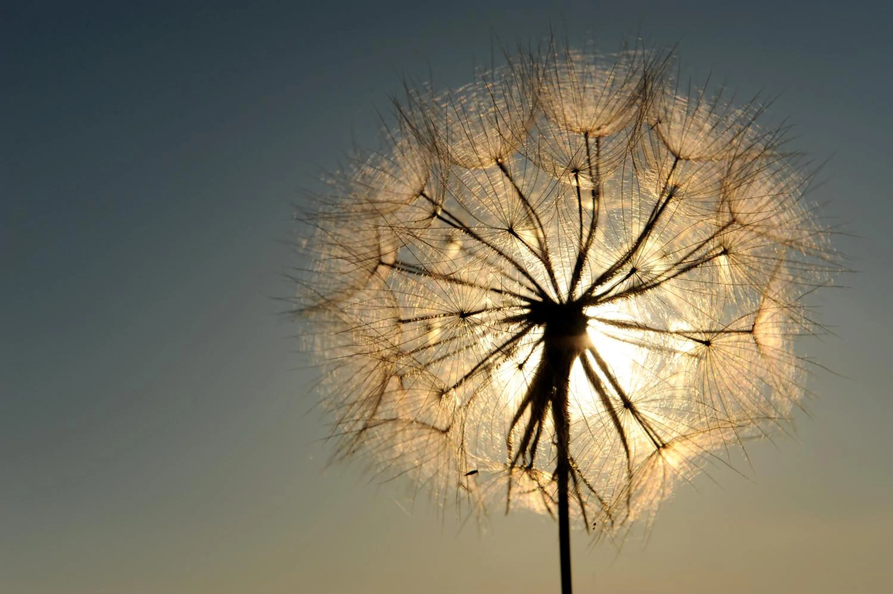 Decorative detail in Delfinia Hotel & Bungalows