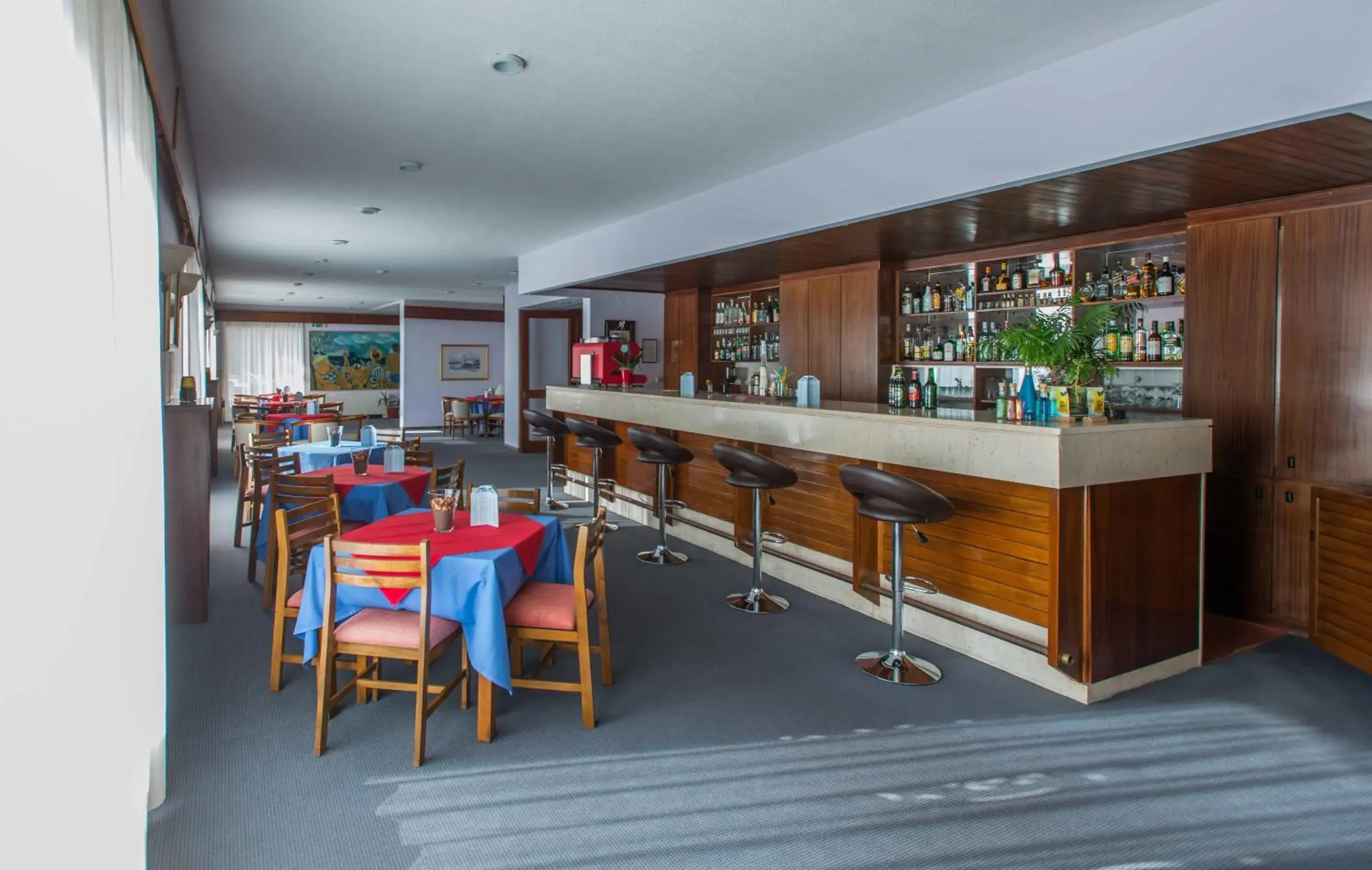 Lounge or bar in Delfinia Hotel & Bungalows Lounge or bar in Delfinia Hotel & Bungalows