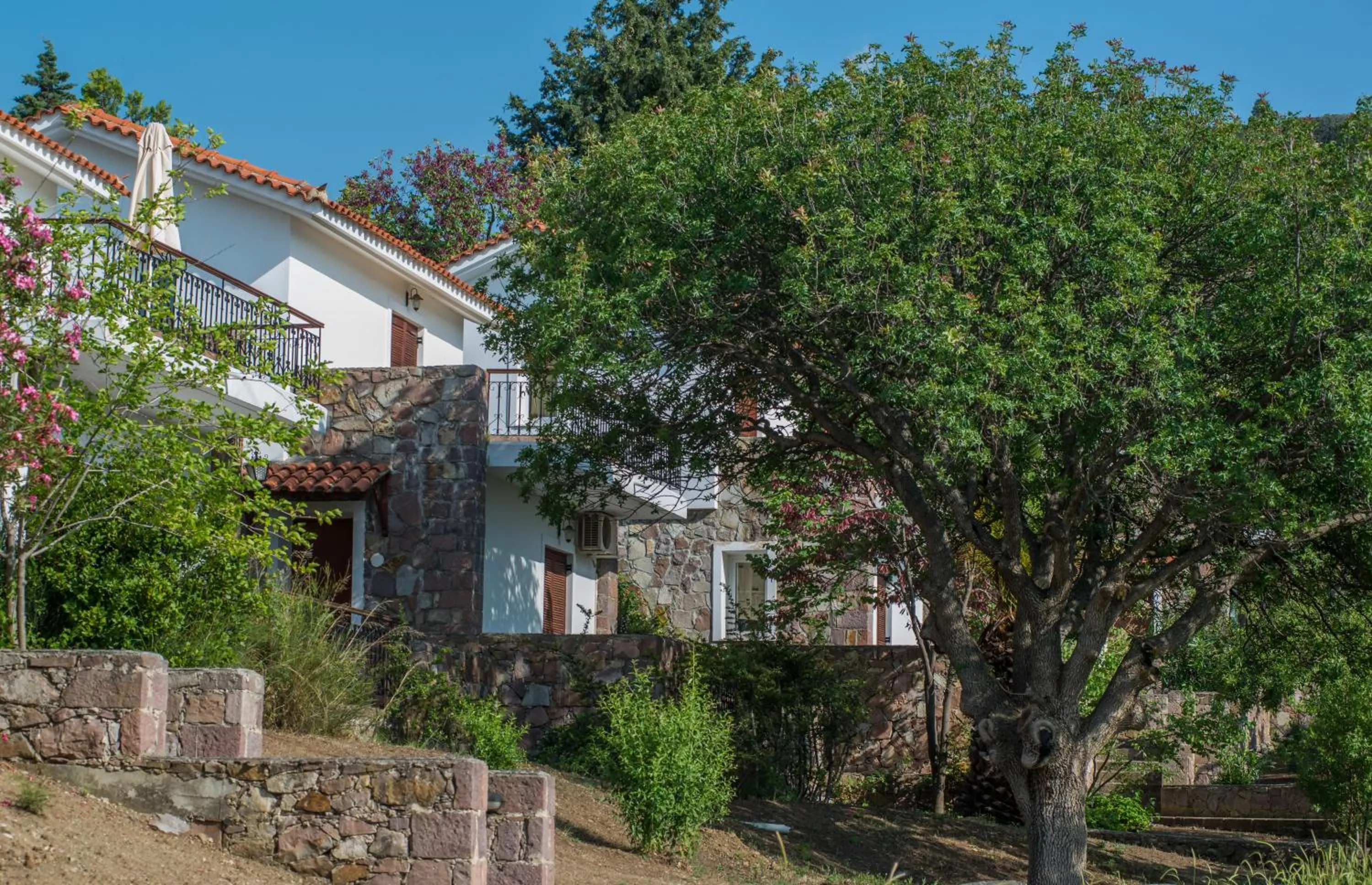 Area and facilities in Delfinia Hotel & Bungalows