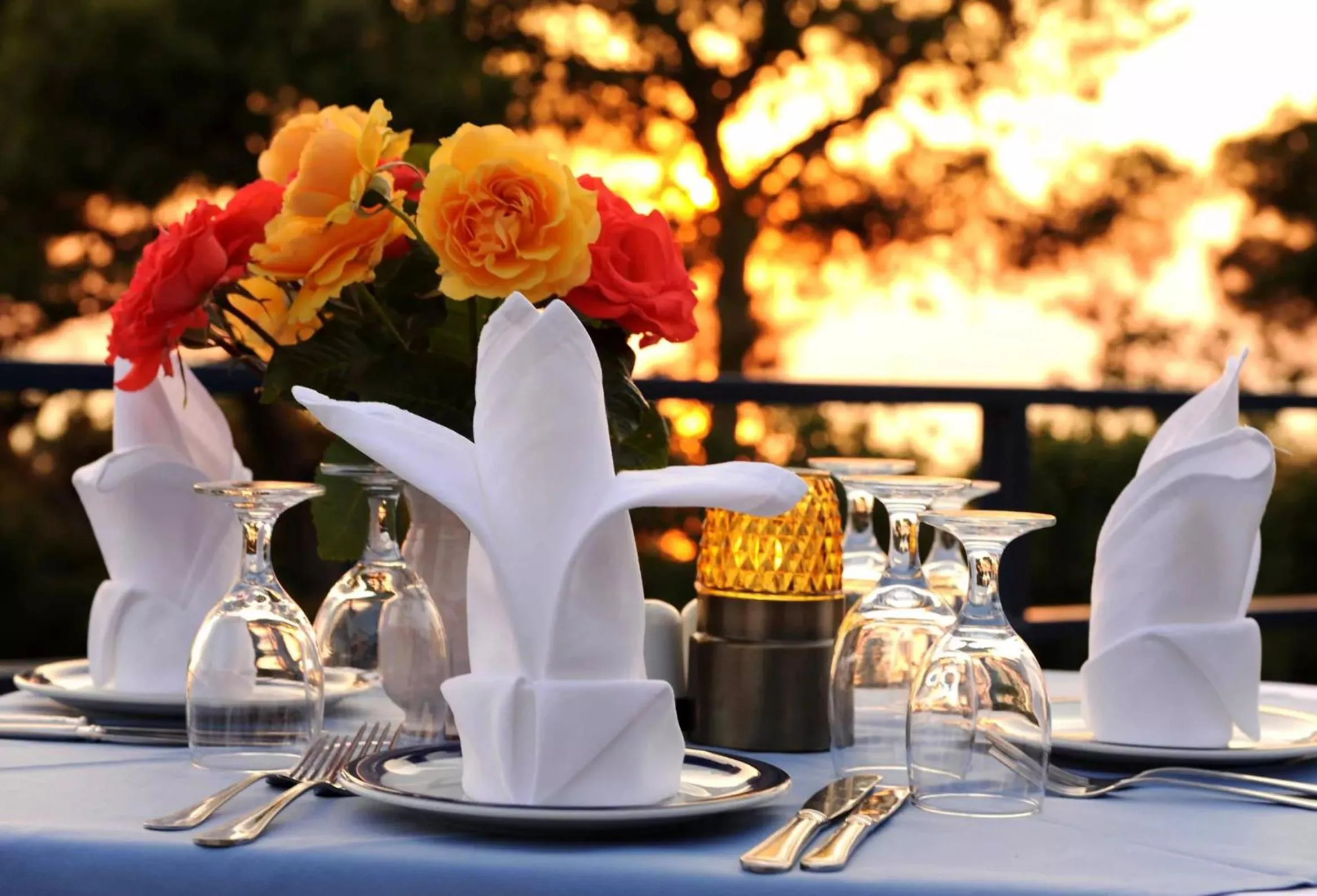 Food and drinks in Delfinia Hotel & Bungalows