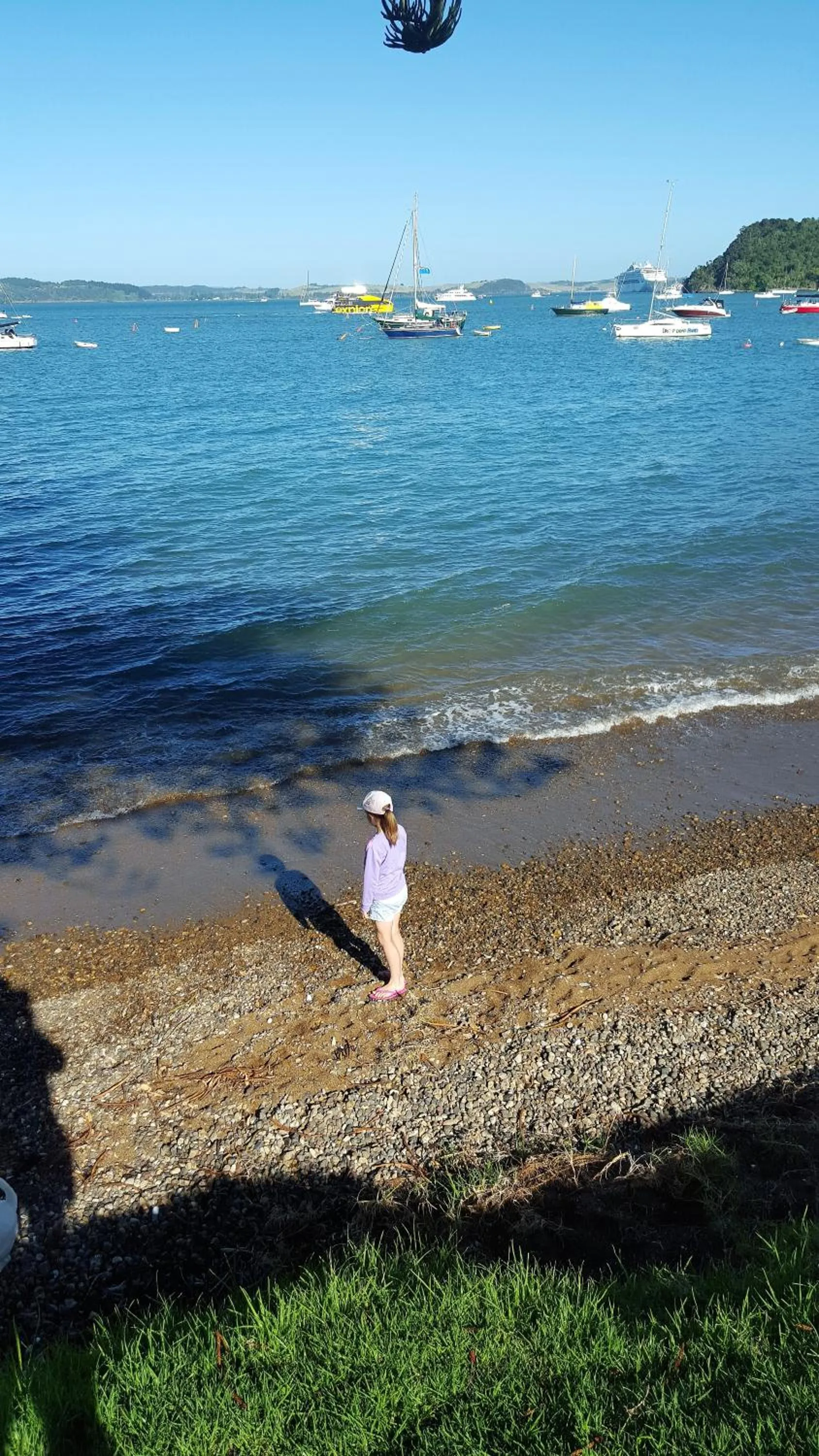 Property building in Seaport Village