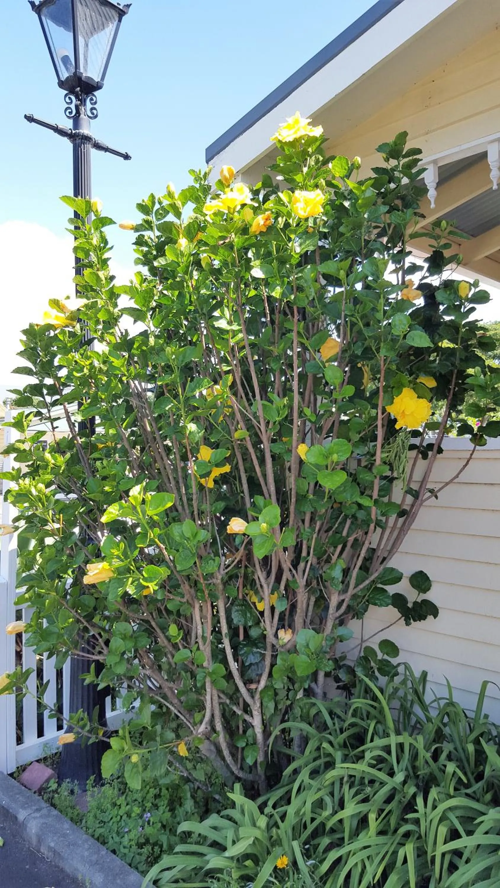 Property building in Seaport Village