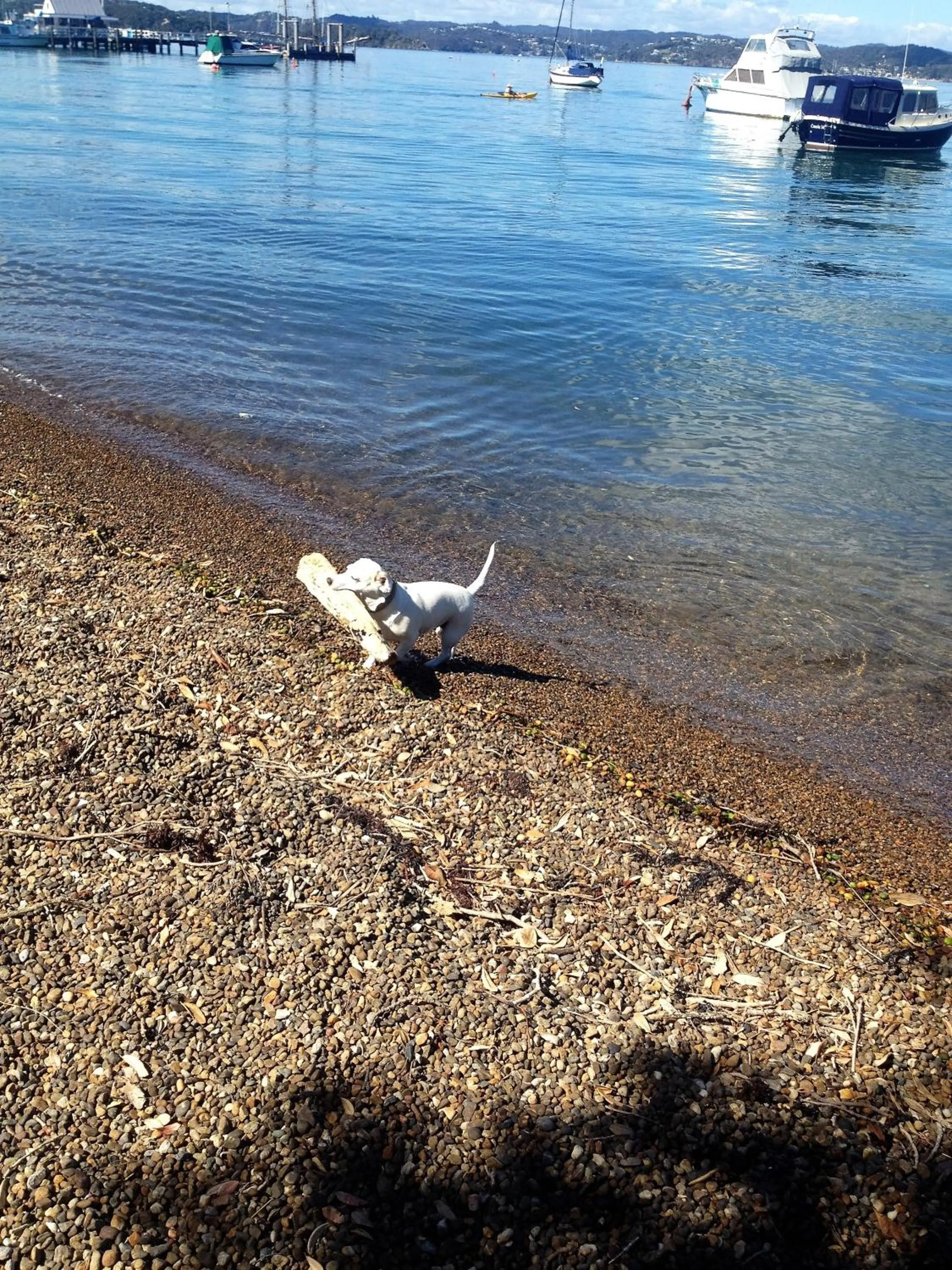 Property building in Seaport Village