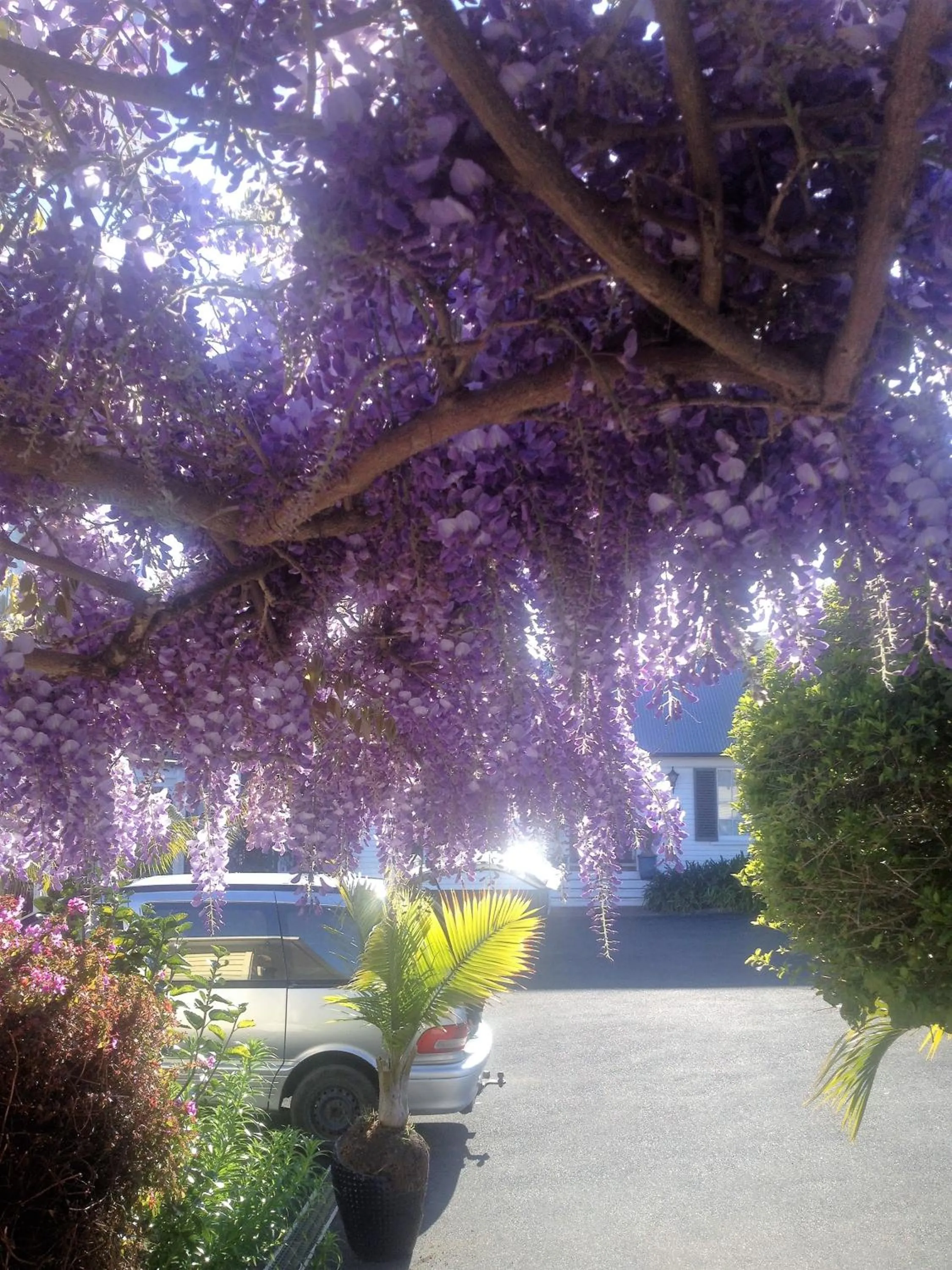 Property building in Seaport Village