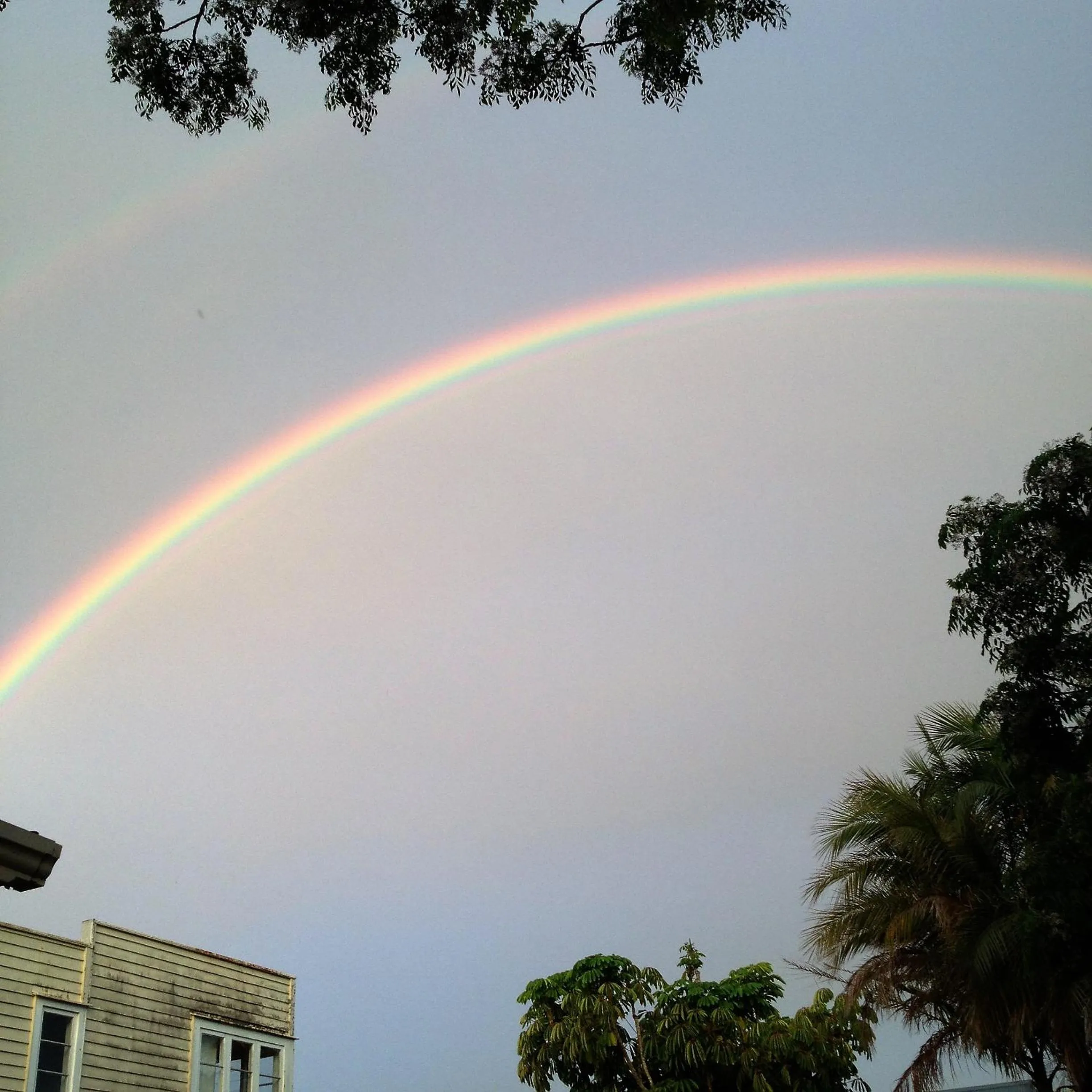 Property building in Seaport Village