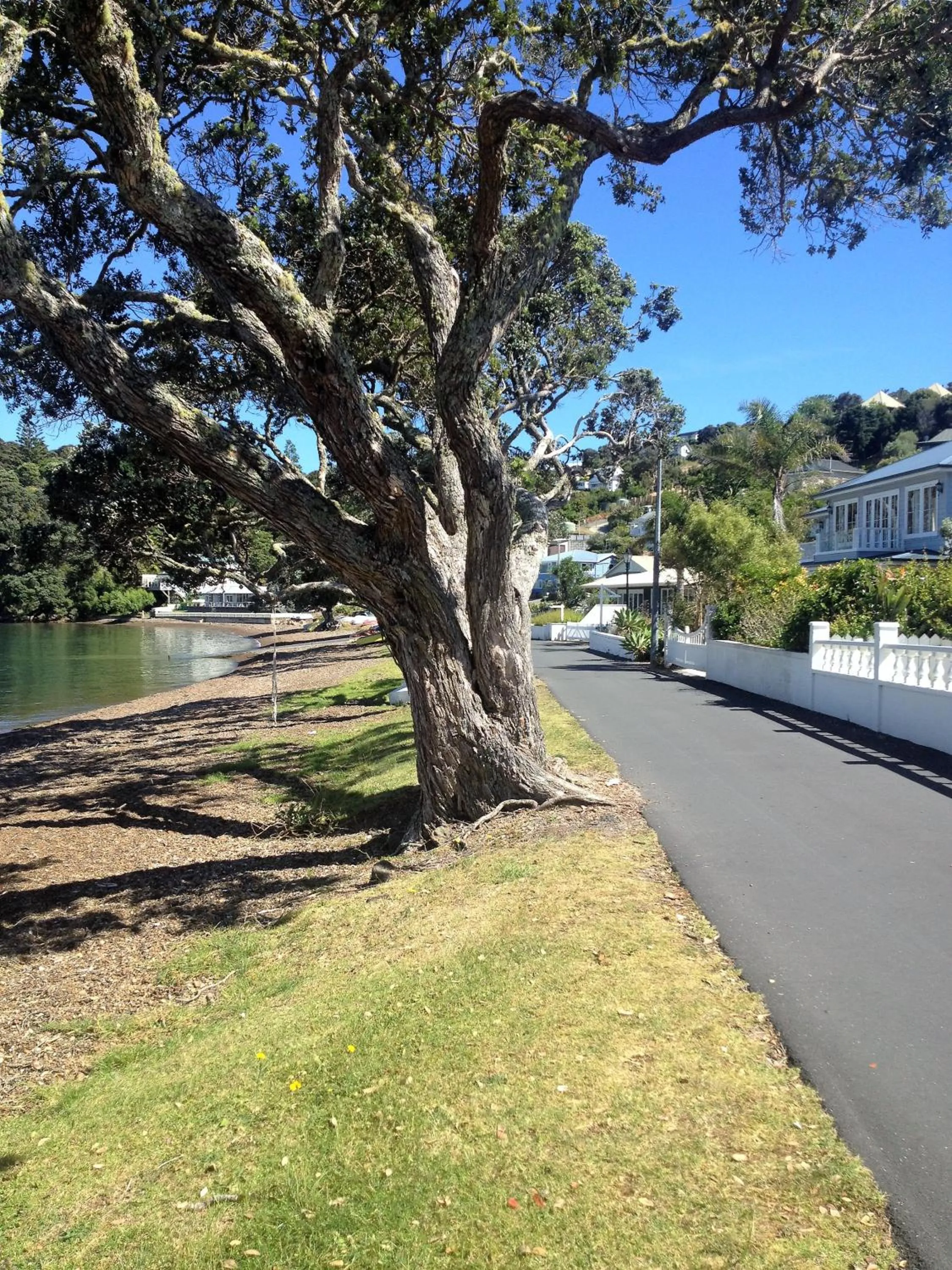 Property building in Seaport Village