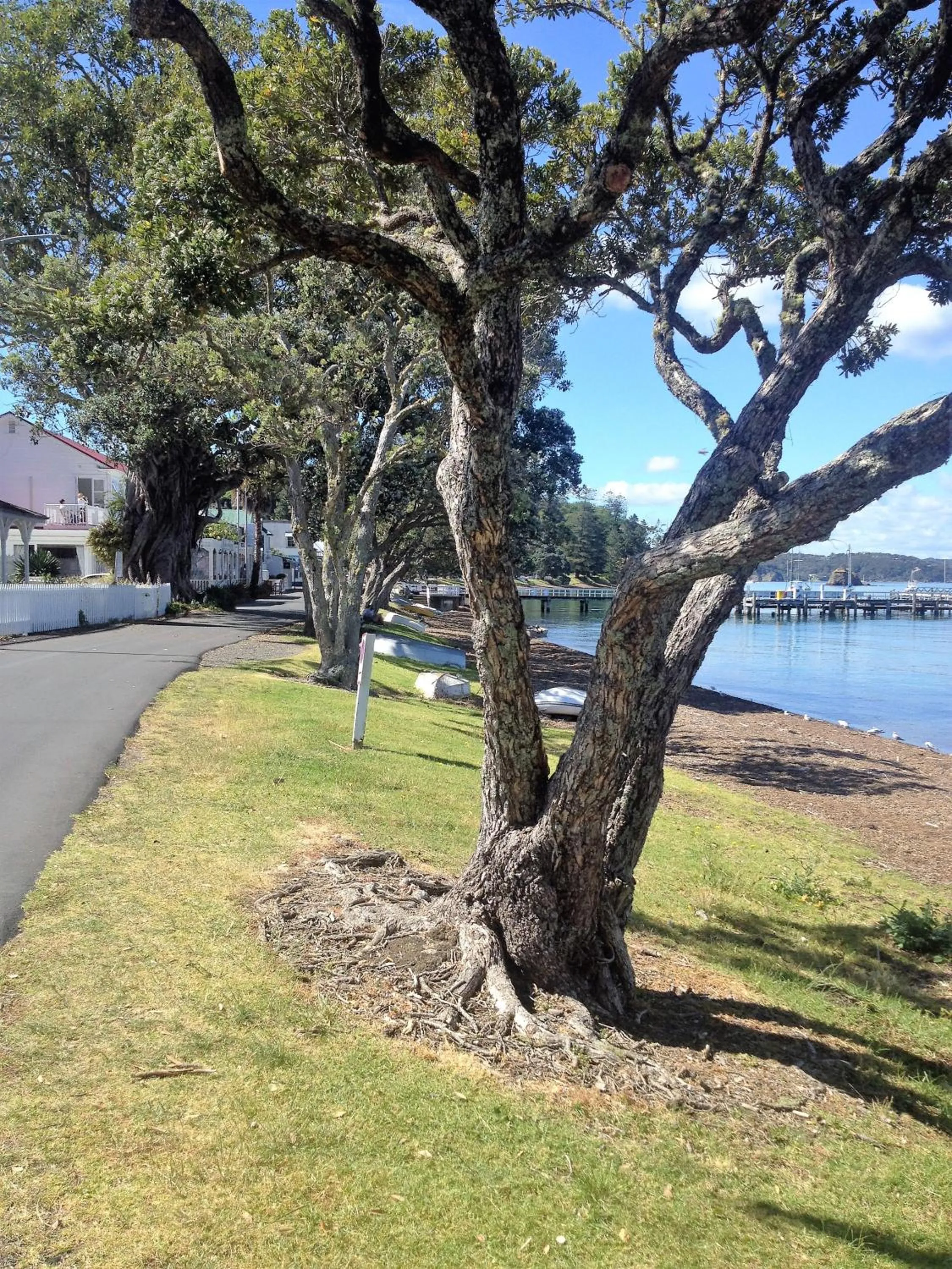 Property building in Seaport Village