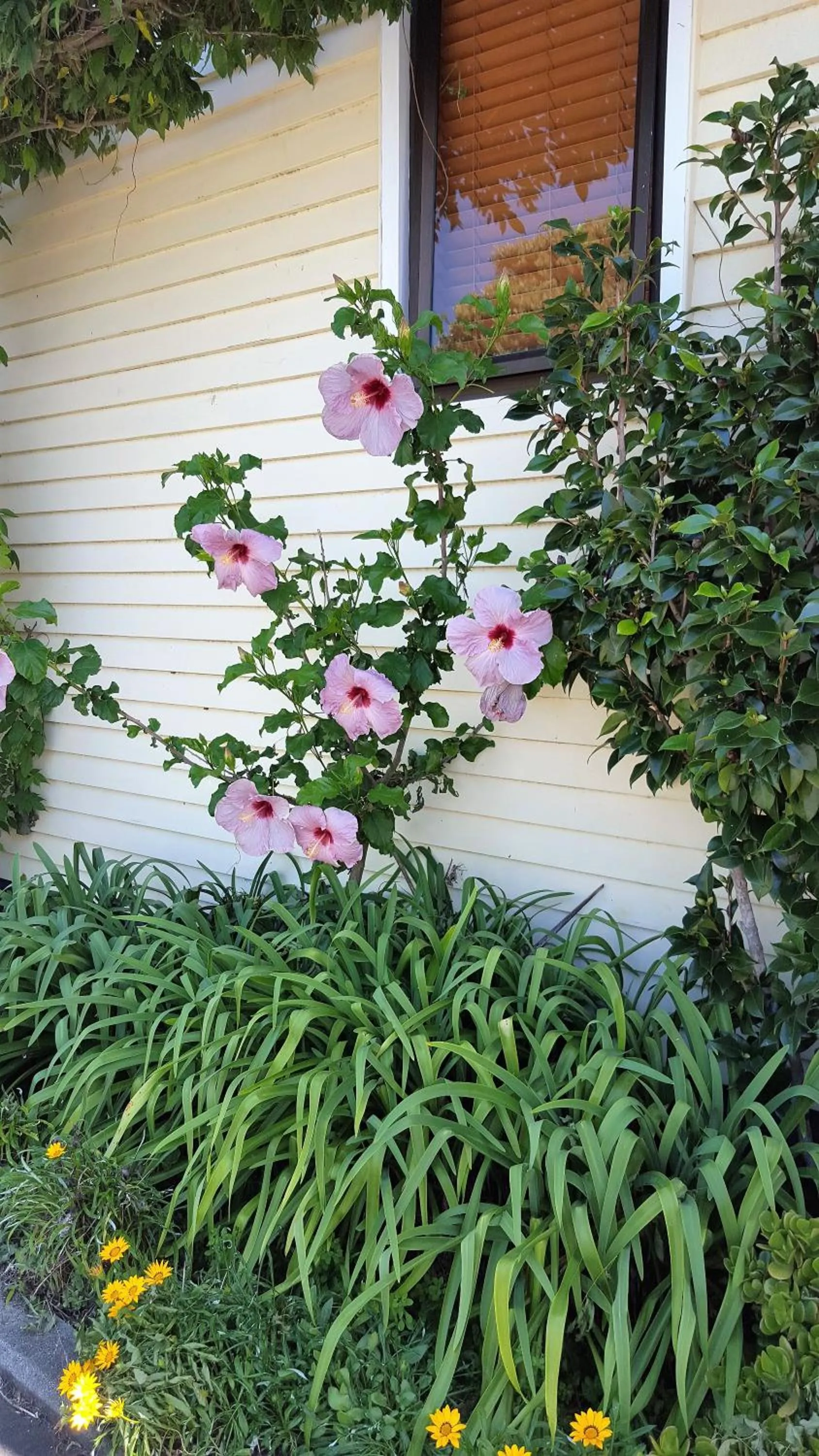 Property building in Seaport Village