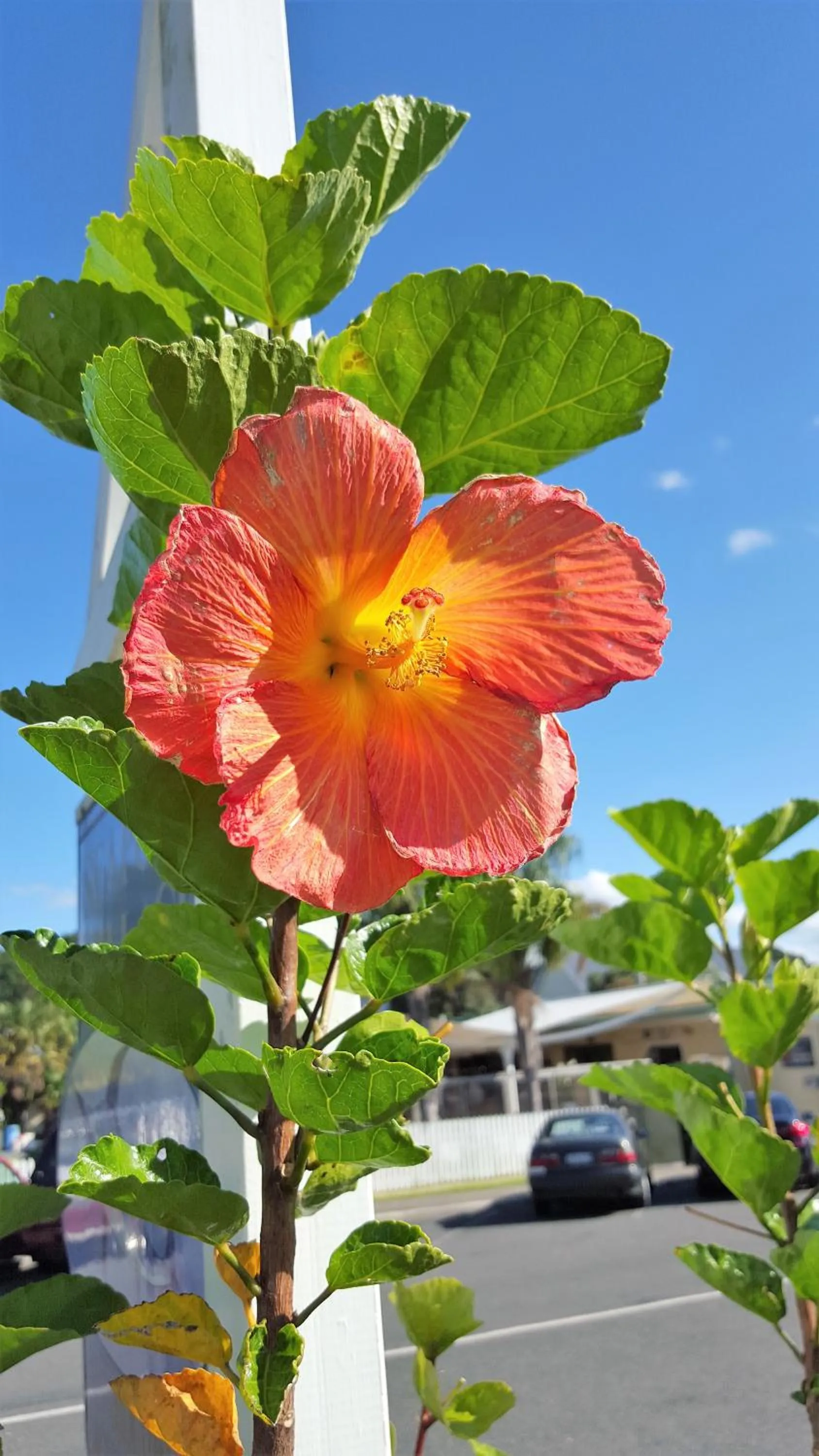 Property building in Seaport Village