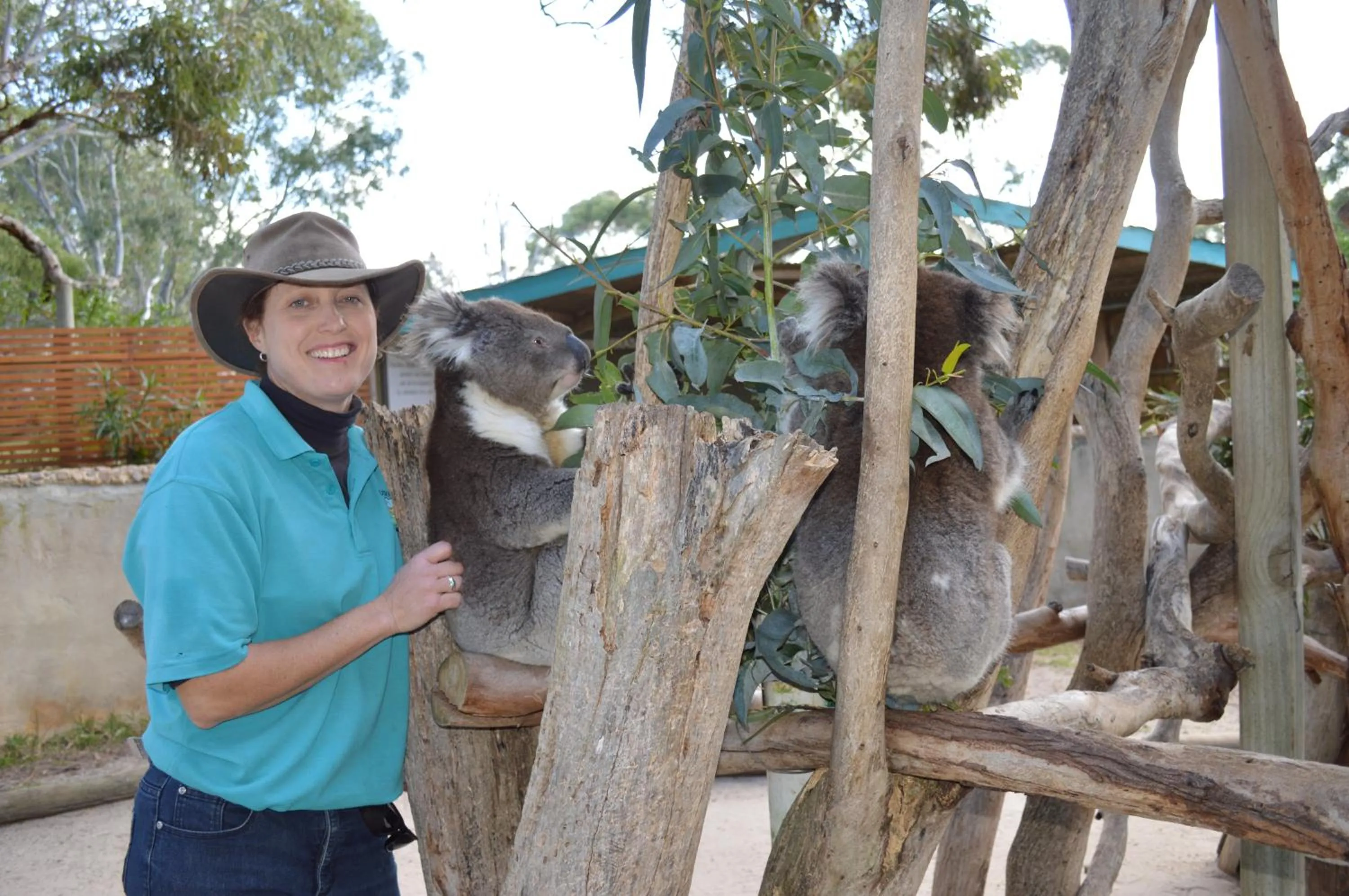 Animals in Lazy Days Cottage - Victor Harbor
