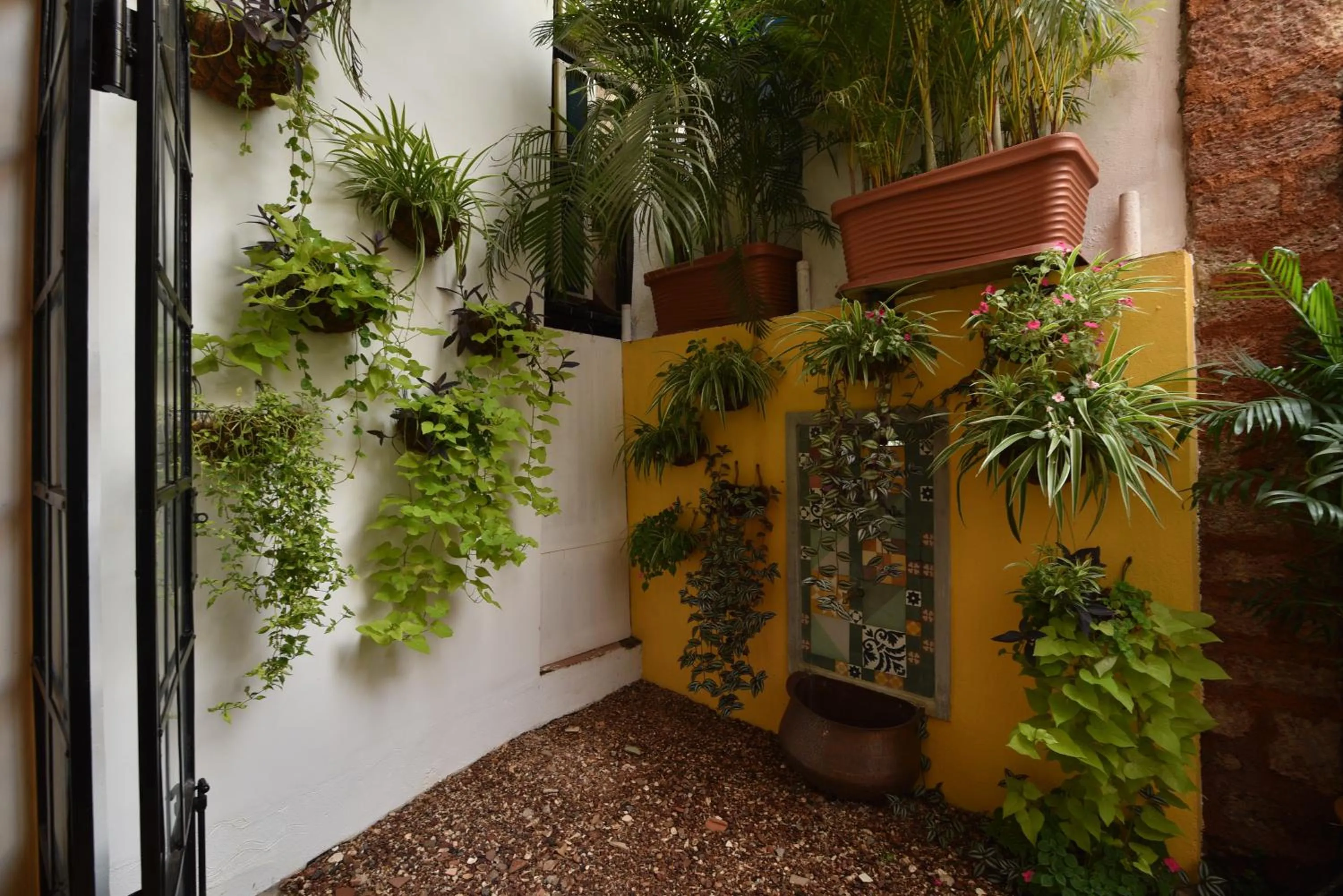 Garden in Mateus Boutique Hotel