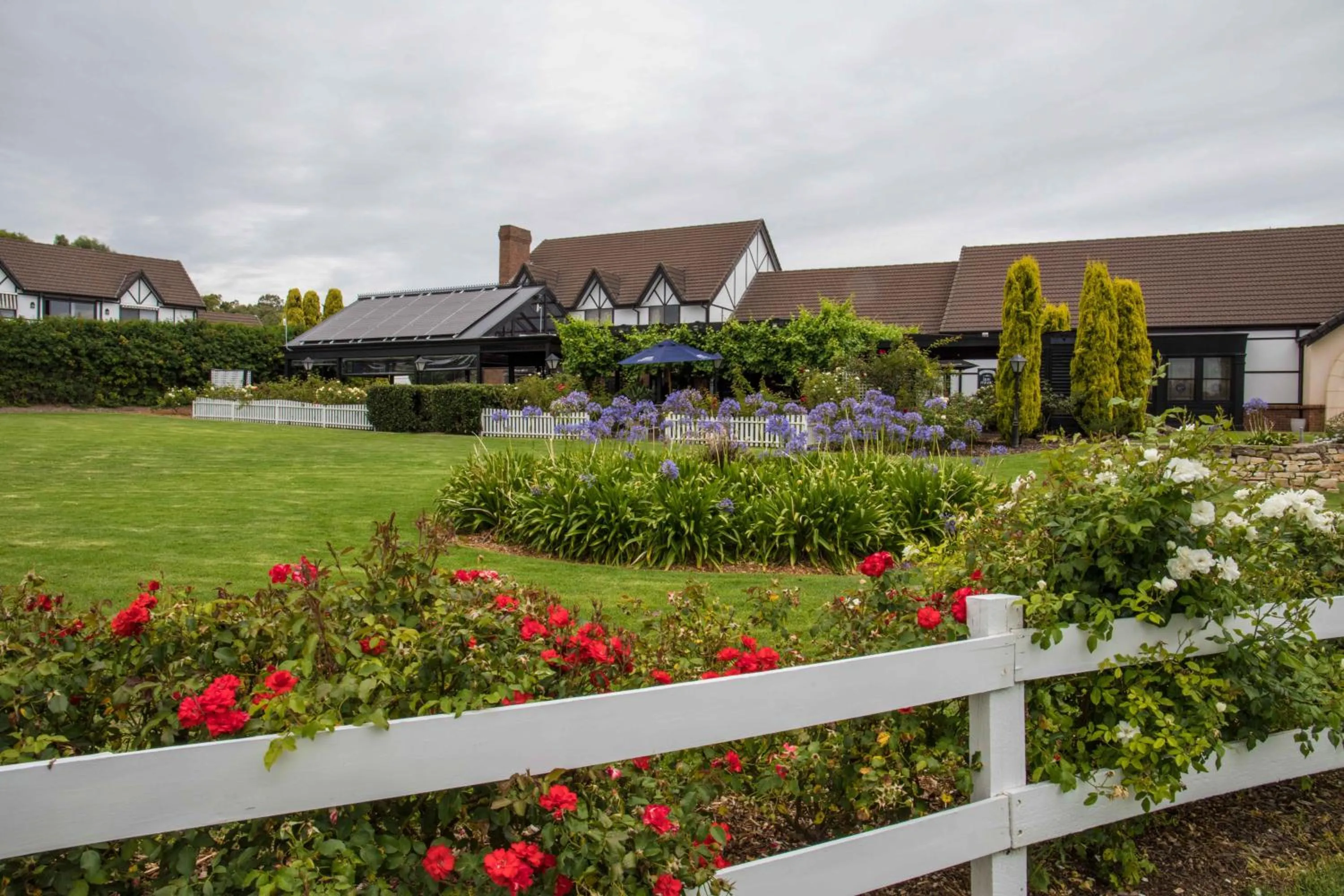 Garden in Mick O'Sheas