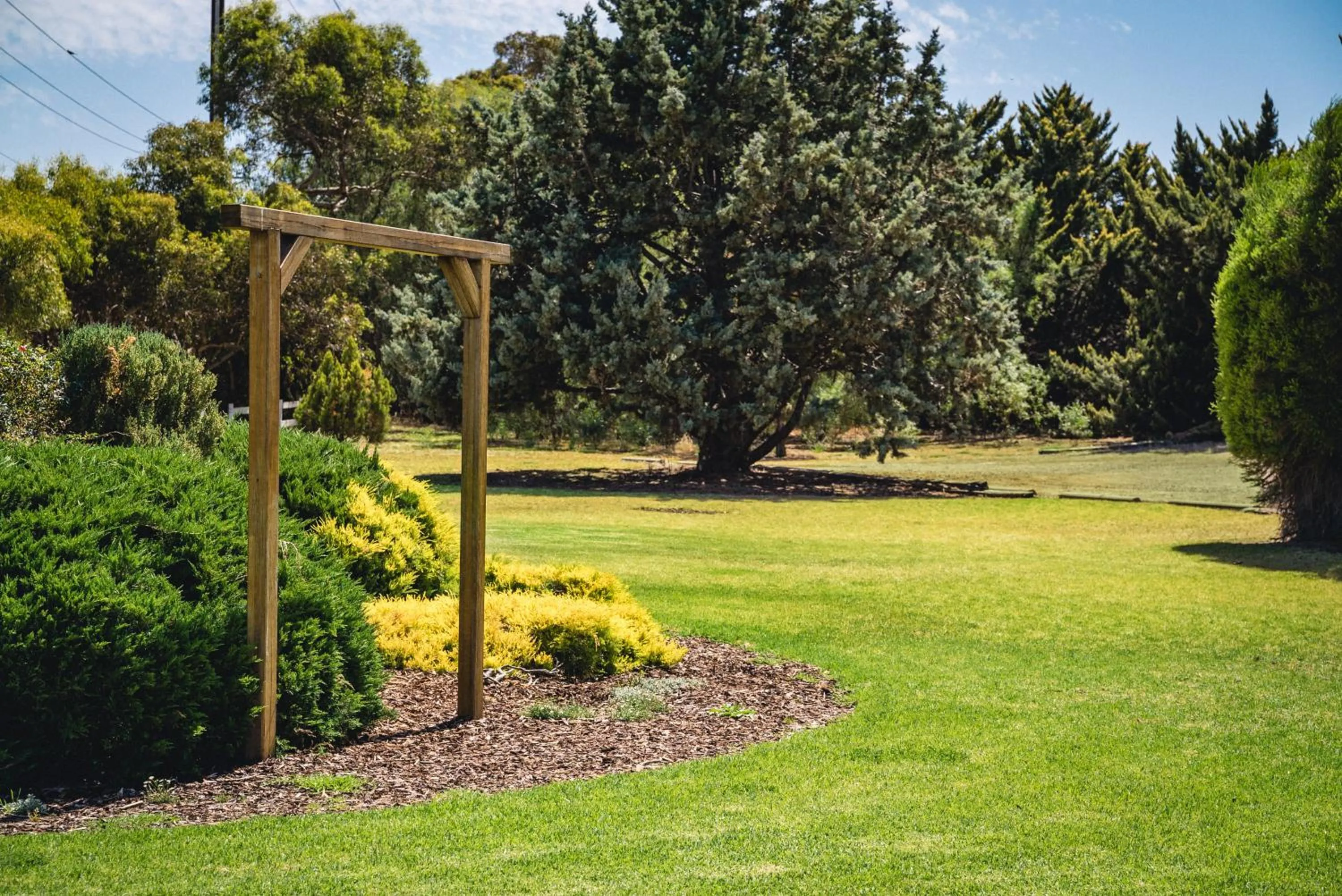 Garden in Mick O'Sheas